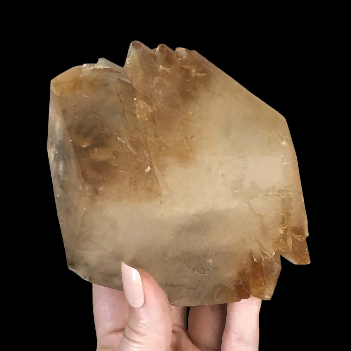 Elmwood “Stellar Beam” Calcite| Stock X - Mooncat Crystals