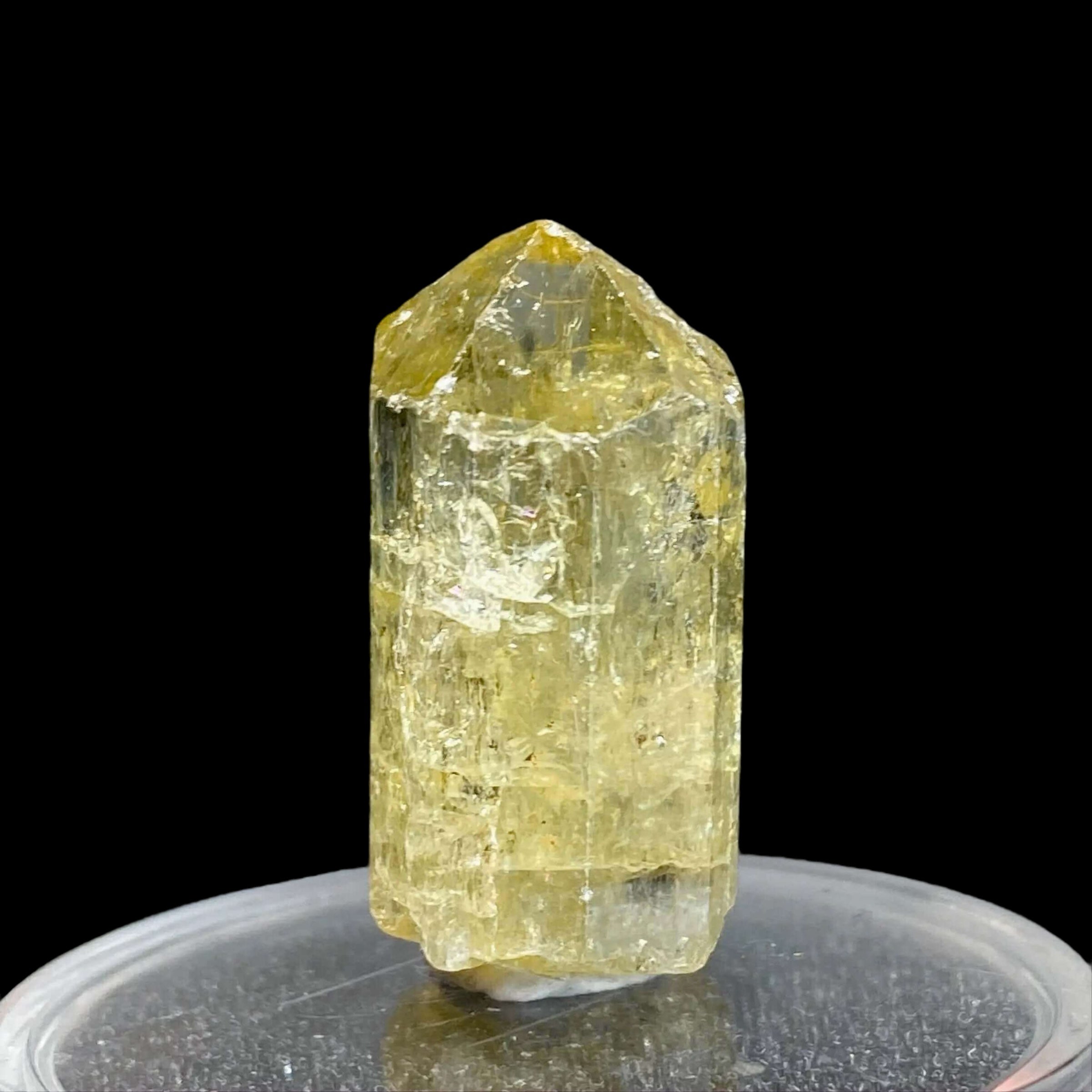 Golden Apatite | Stock J - Mooncat Crystals