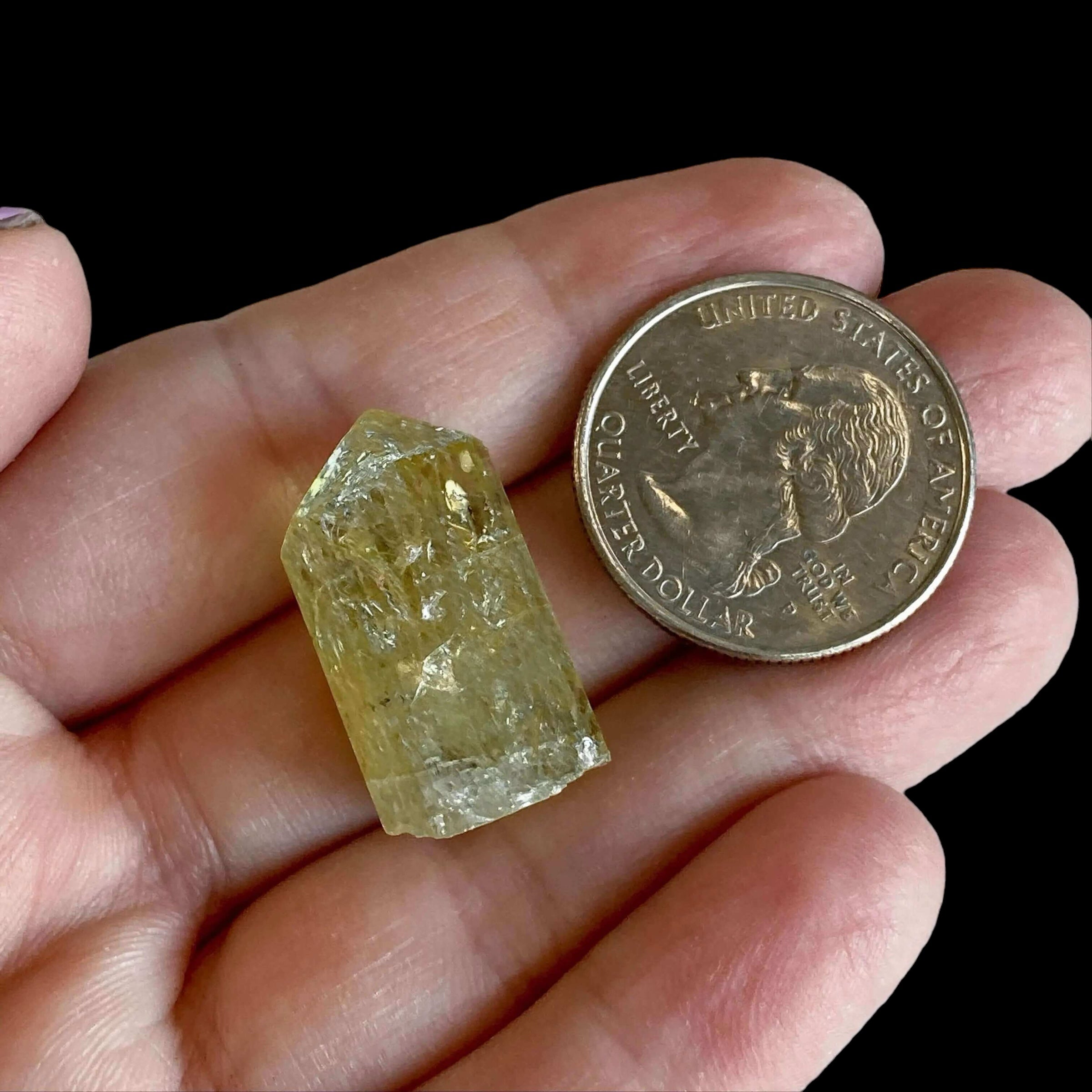 Golden Apatite | Stock J - Mooncat Crystals
