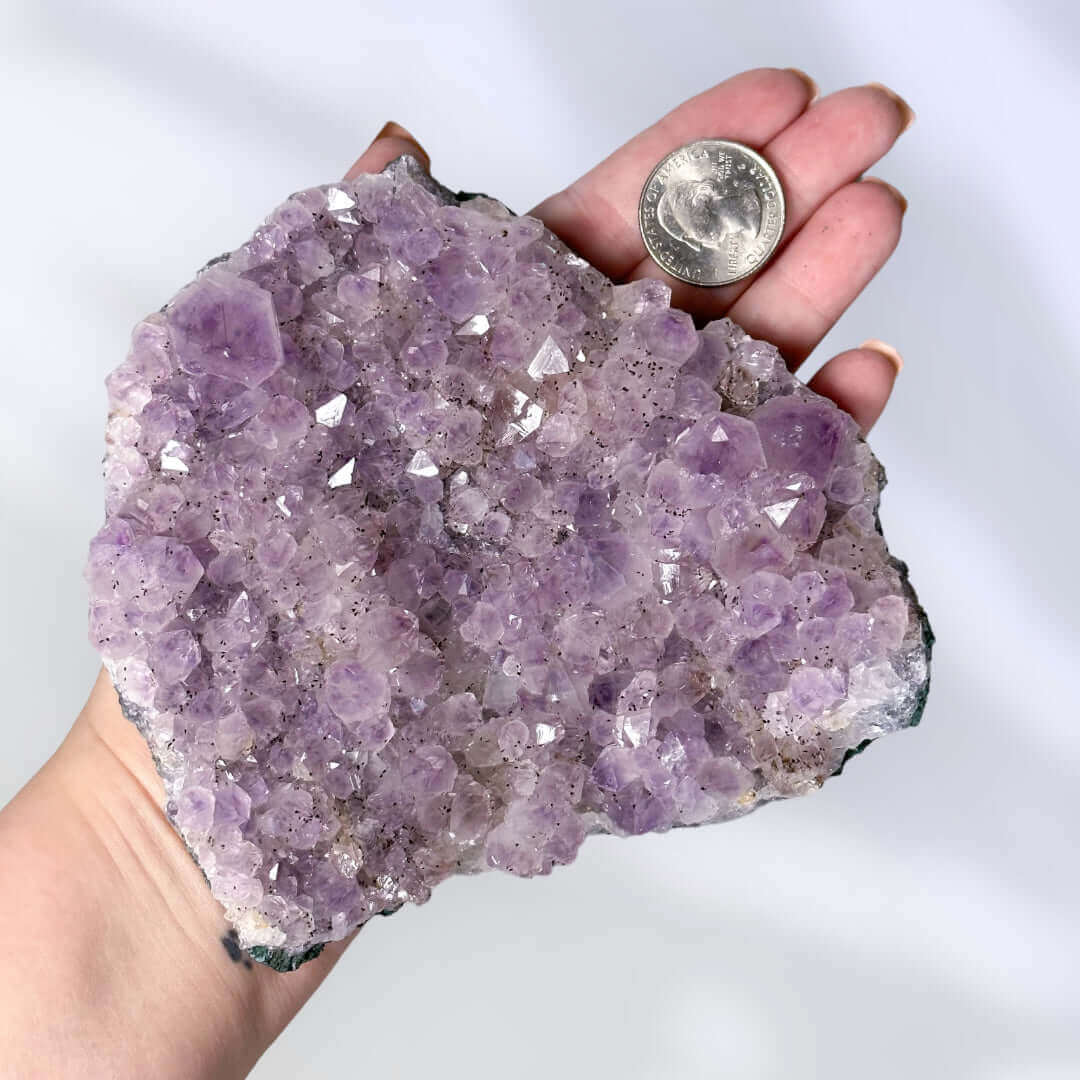 Amethyst Cluster | Stock H