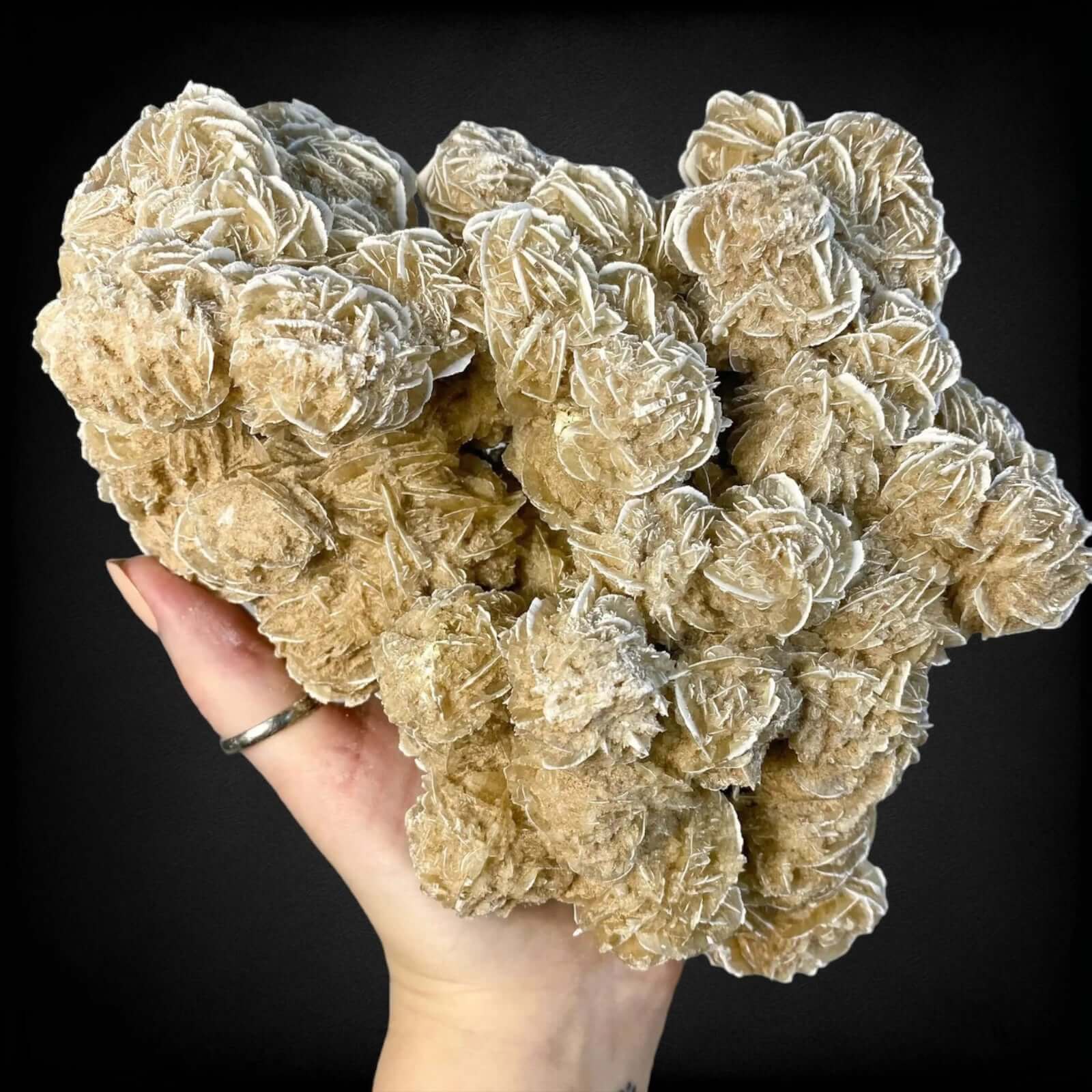 PERSONAL GROWTH + CLARITY:: Desert Rose Selenite Statement Piece | Stock C