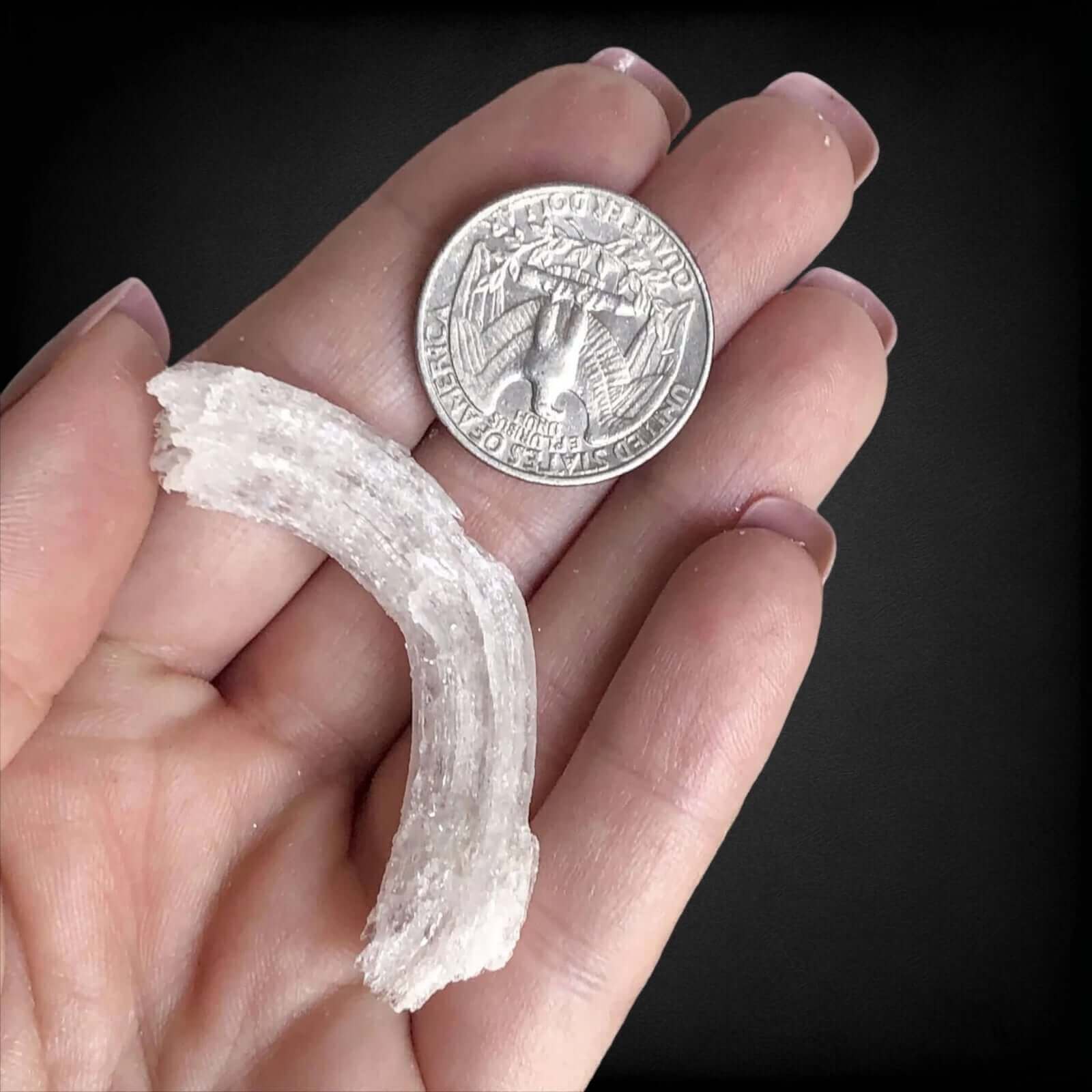 Ram's Horn Selenite | Stock M