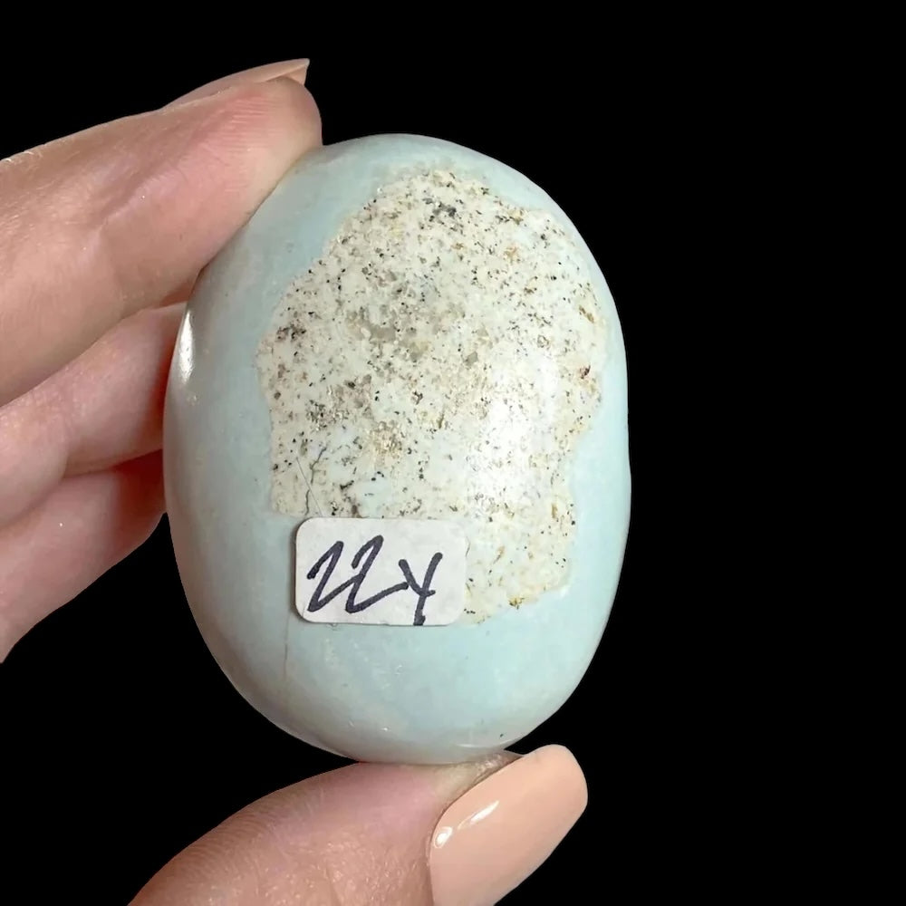 Madagascan Turquoise Palm Stone | Stock Y - Mooncat Crystals