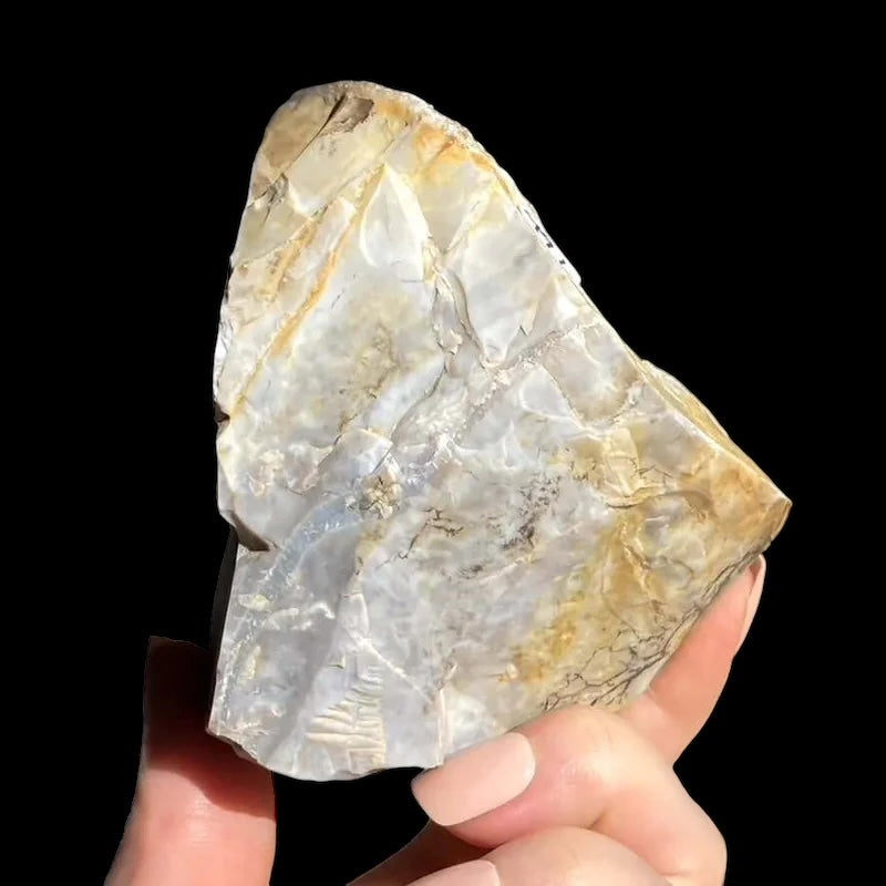 Ohio Flint with Druzy Quartz | Stock L - Mooncat Crystals