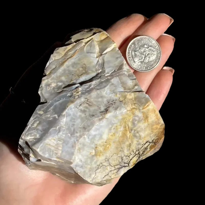 Ohio Flint with Druzy Quartz | Stock L - Mooncat Crystals