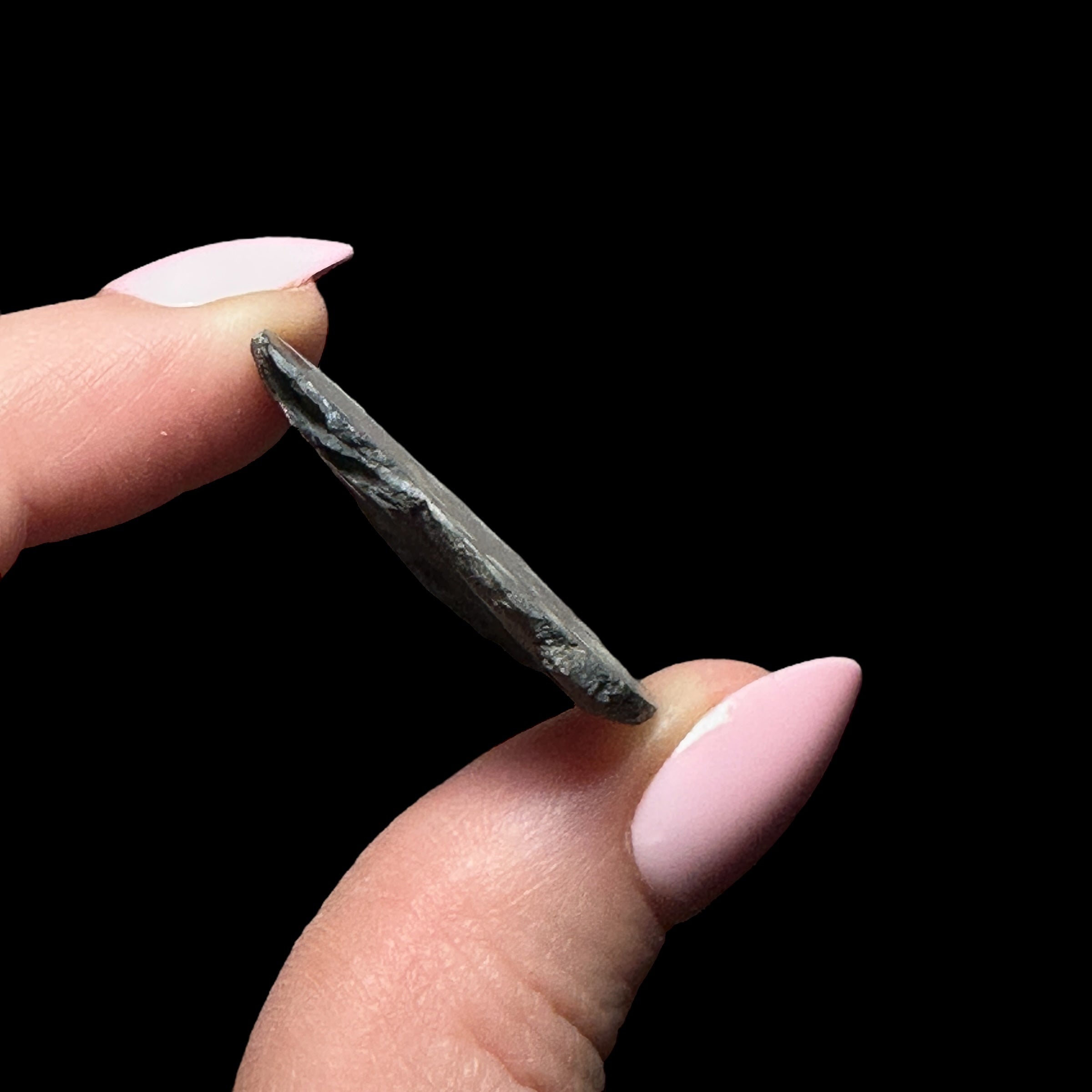 Pyritized Ammonite | Stock A - Mooncat Crystals