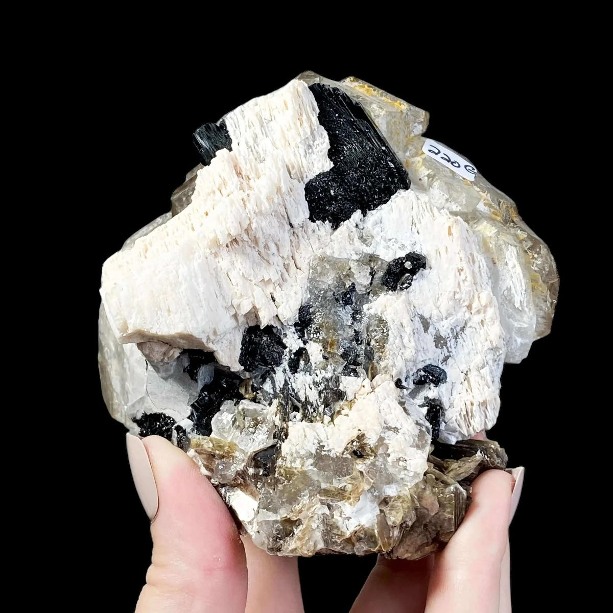Smoky Elestial Quartz with Mica and Black Tourmaline | Stock G - Mooncat Crystals