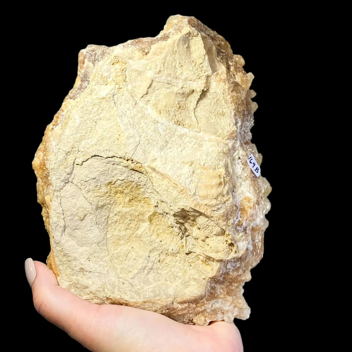 South Dakota Calcite | Stock B - Mooncat Crystals