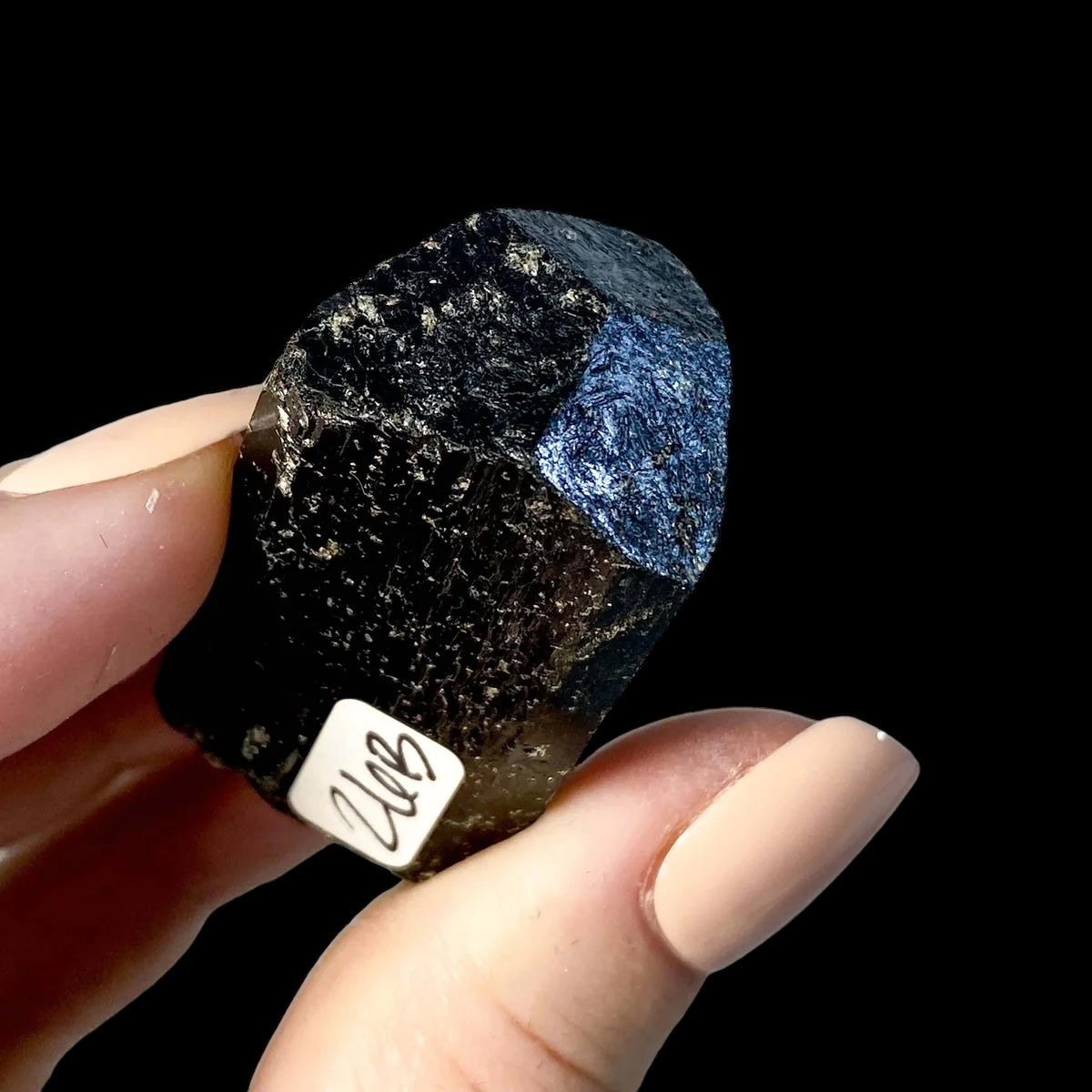 Terminated Black Tourmaline | Stock B - Mooncat Crystals
