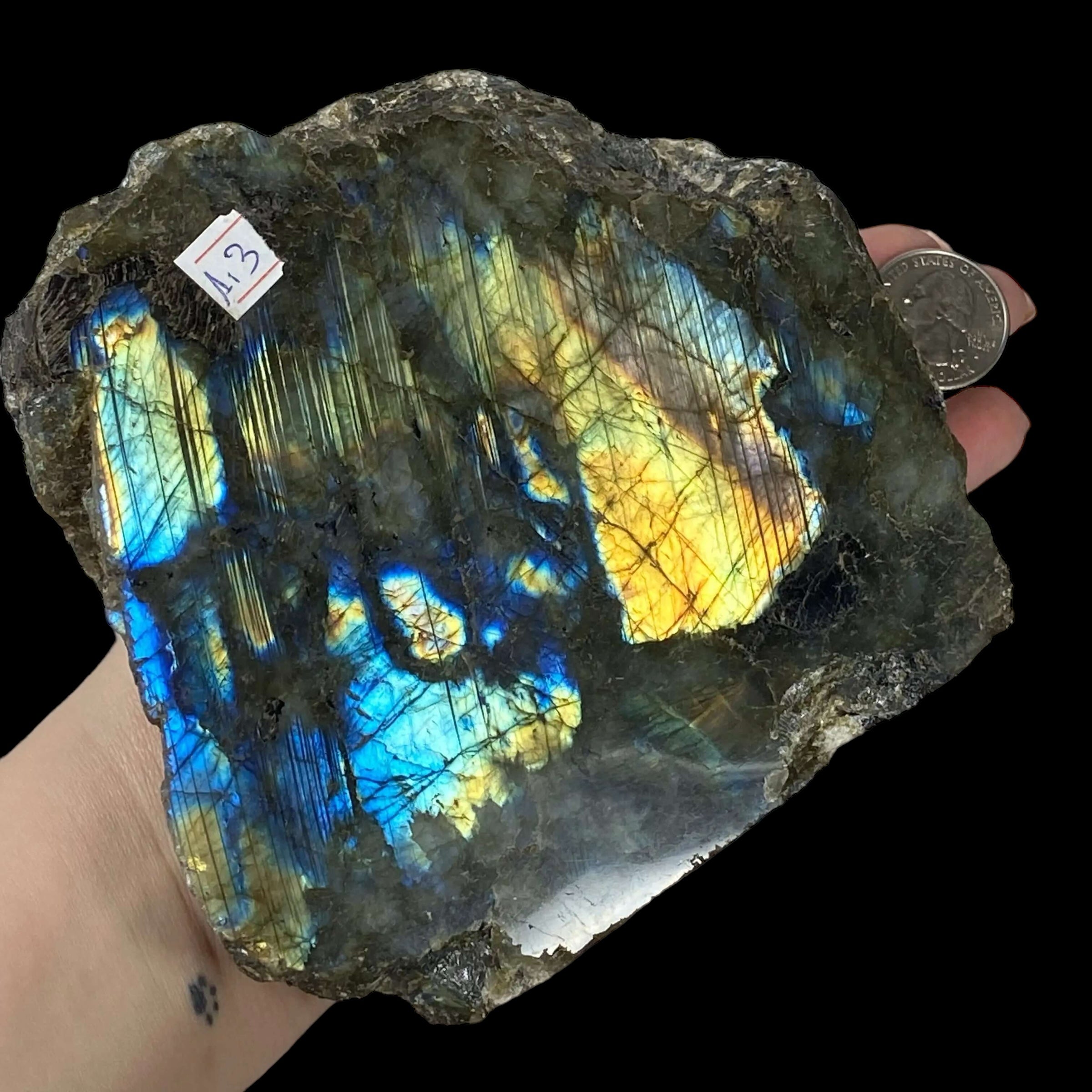 TRANSFORMATION + MAGIC-AWAKENING:: Self-Standing One-Side Polished Labradorite - Mooncat Crystals