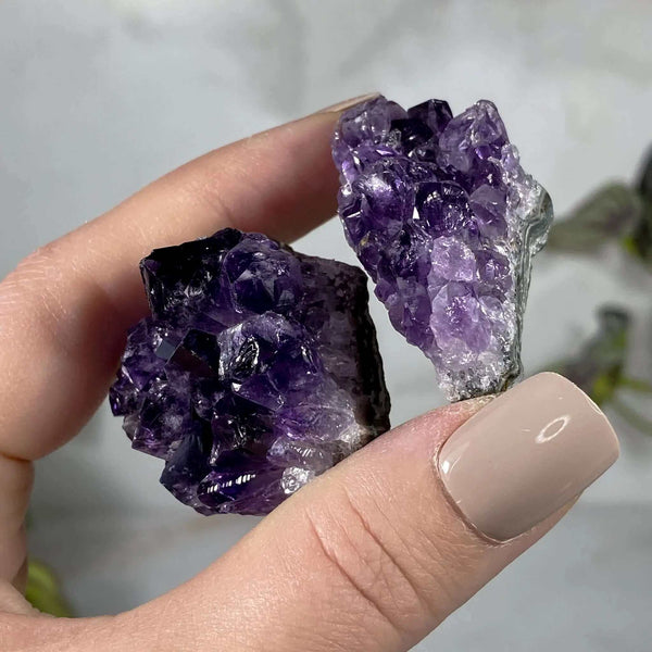 AA Quality “Grape Jelly” Uruguayan Amethyst Cluster | MINI PAIR Mooncat Crystals