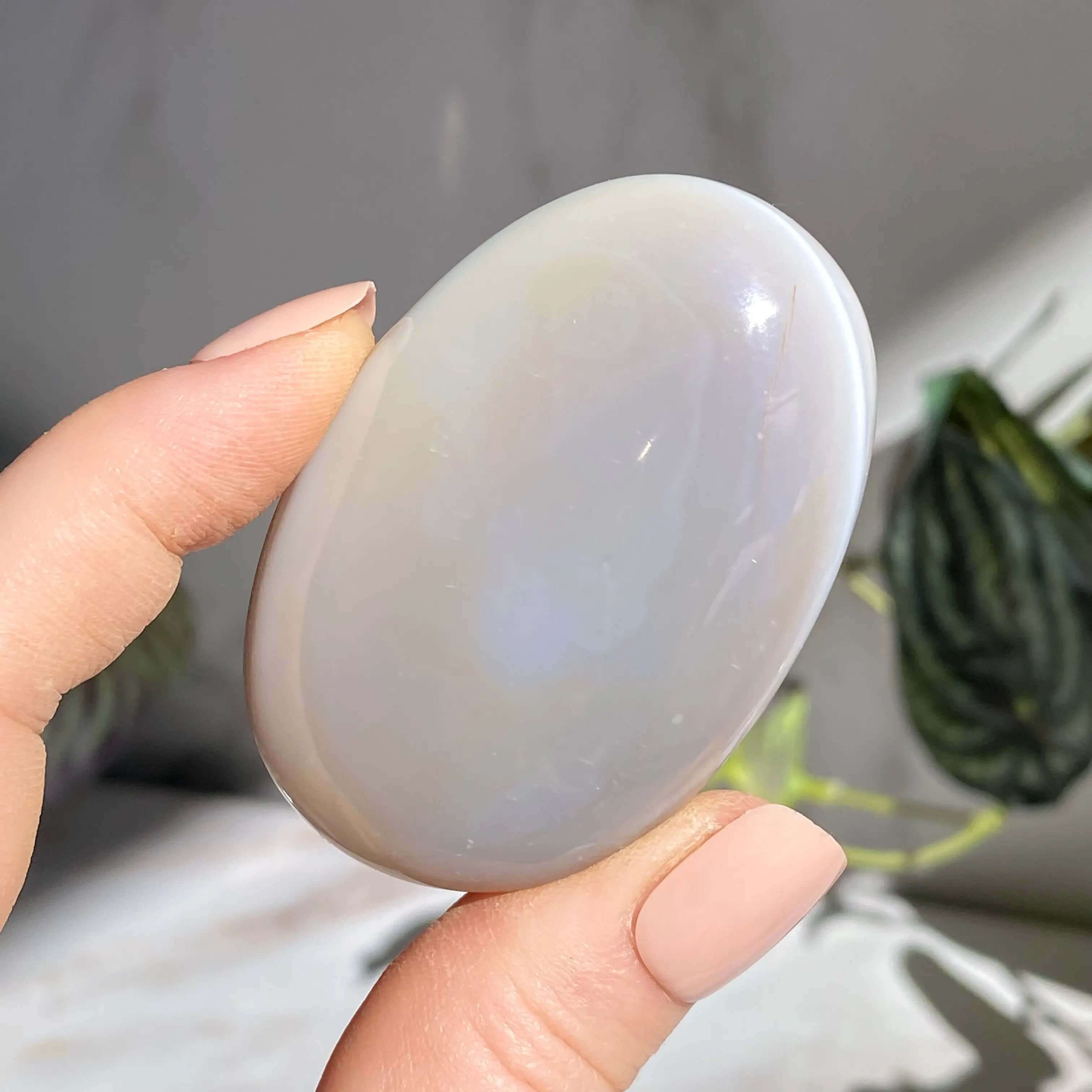 Agate Palm Stone | You Choose Mooncat Crystals