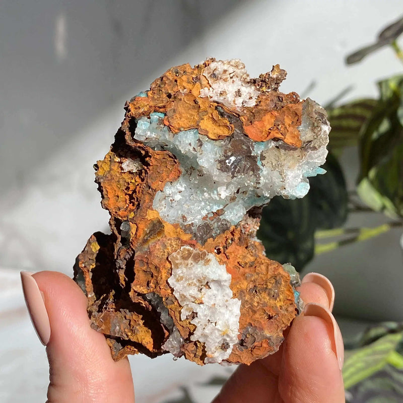 Aurichalcite with Calcite | Stock D Mooncat Crystals