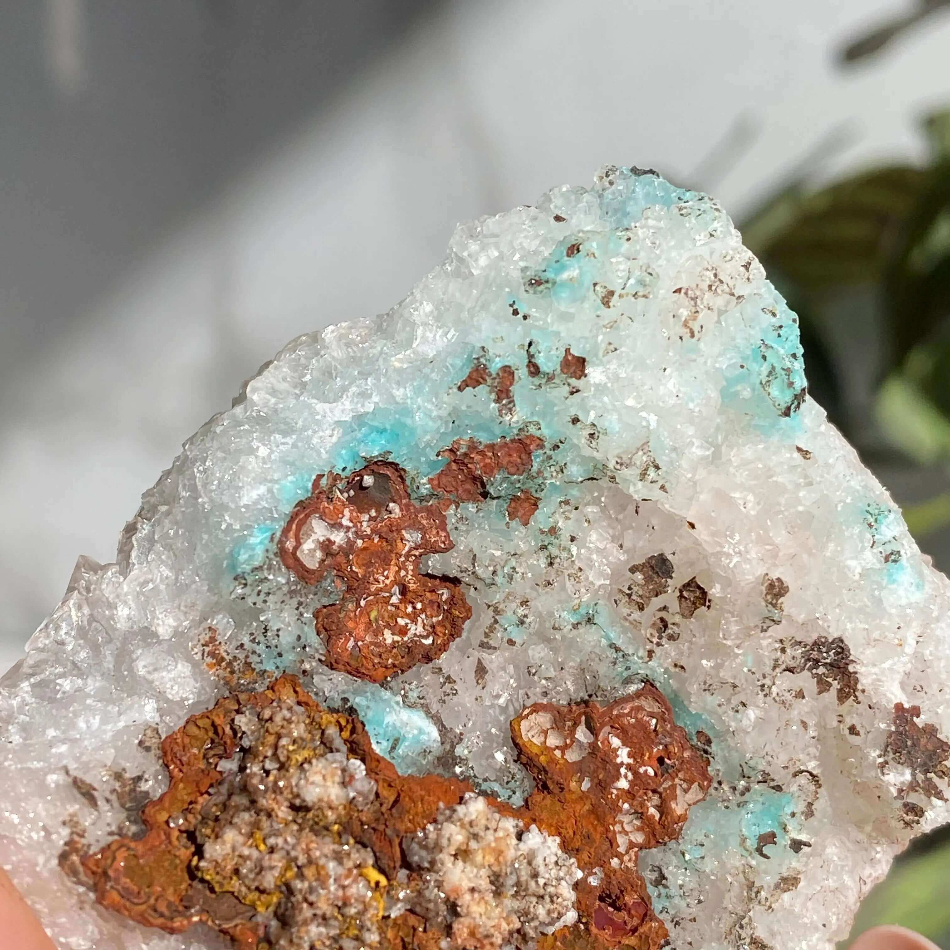 Aurichalcite with Calcite | Stock E Mooncat Crystals