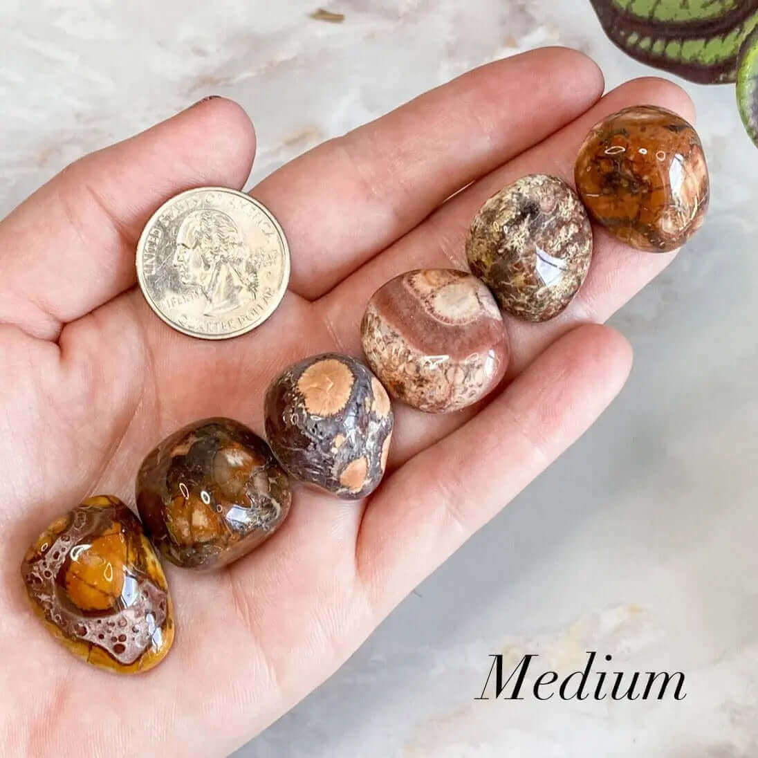 Bird’s Eye Rhyolite Tumbles for Creativity and Self-Expression Mooncat Crystals