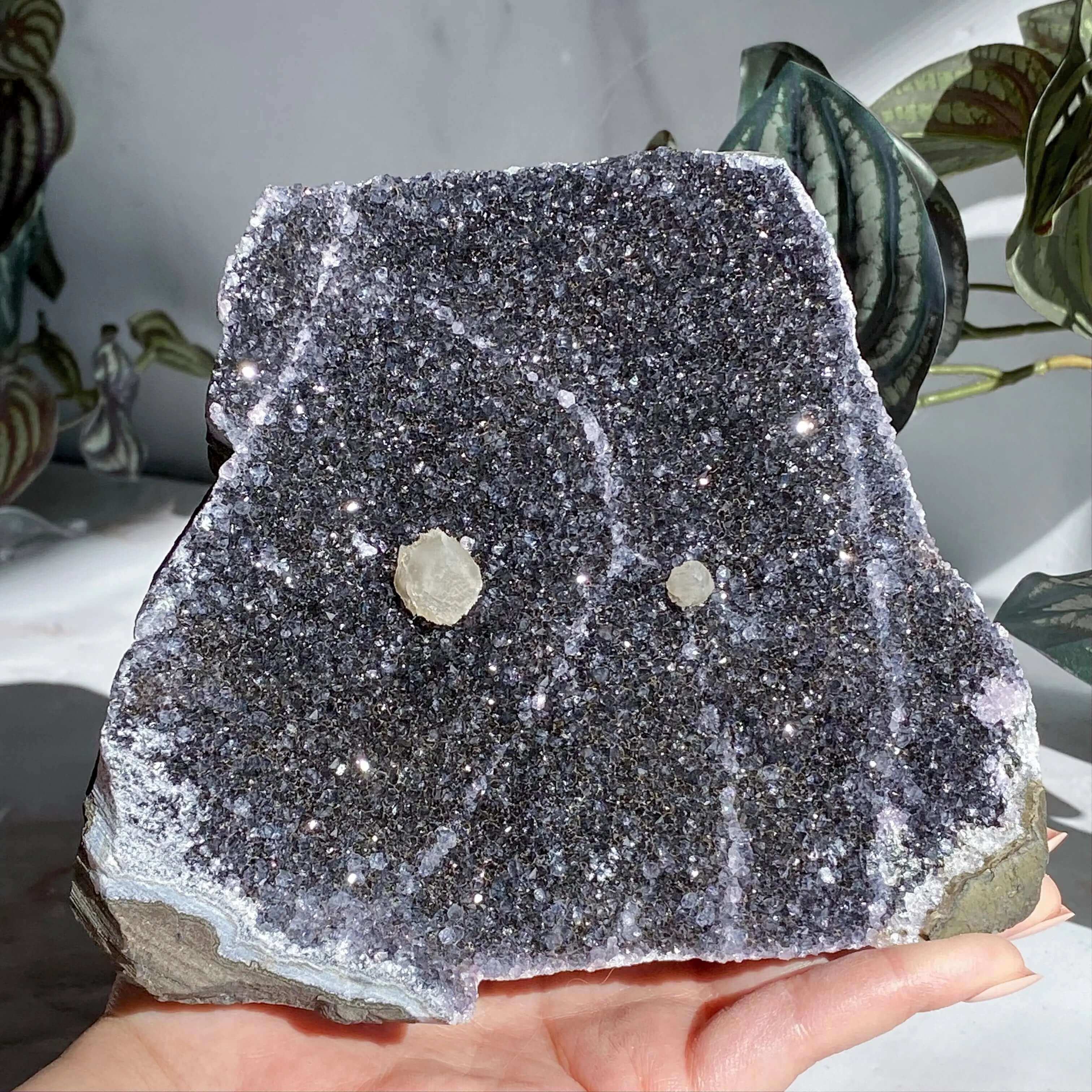 Black Amethyst Geode | Stock K Mooncat Crystals