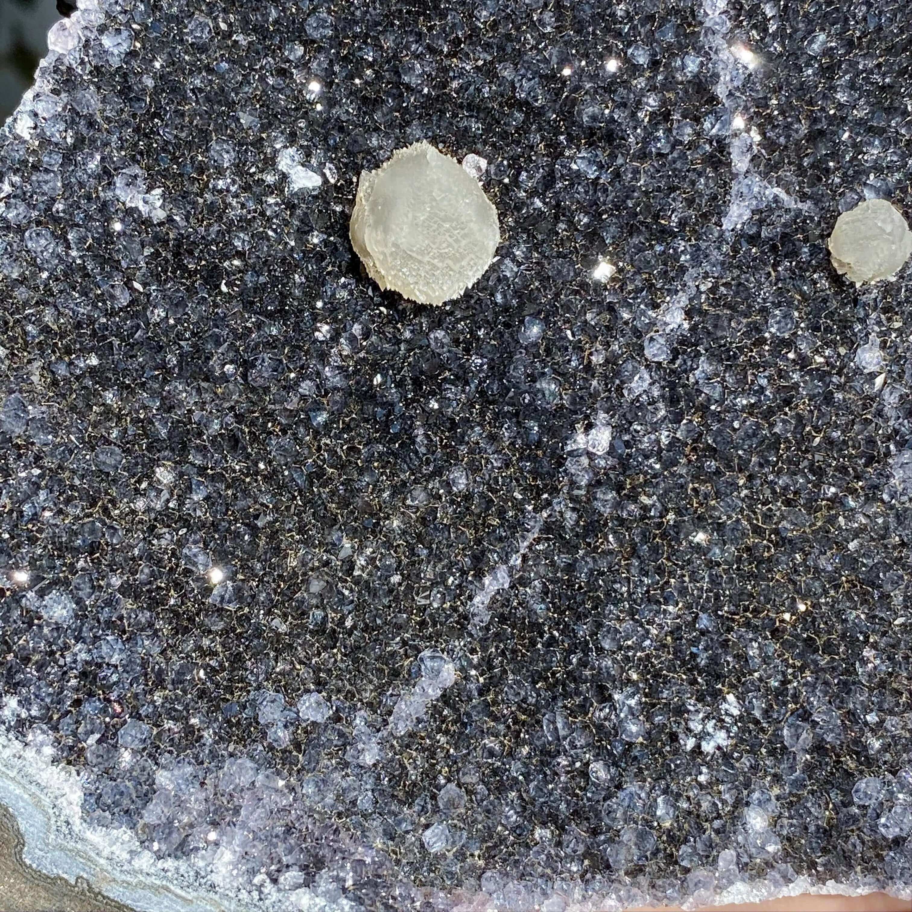 Black Amethyst Geode | Stock K Mooncat Crystals