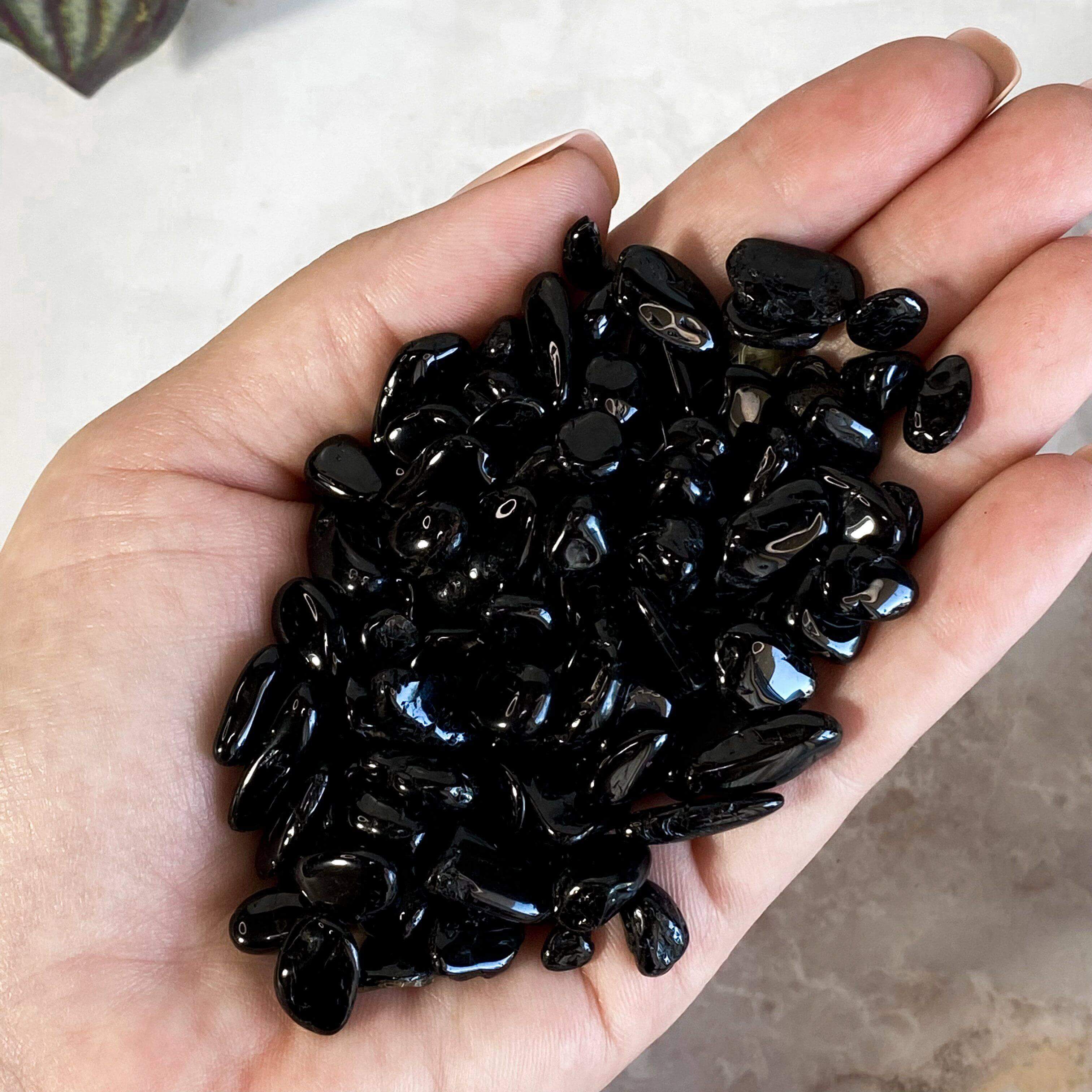 Black Tourmaline Chips | 100 gram Lot Mooncat Crystals