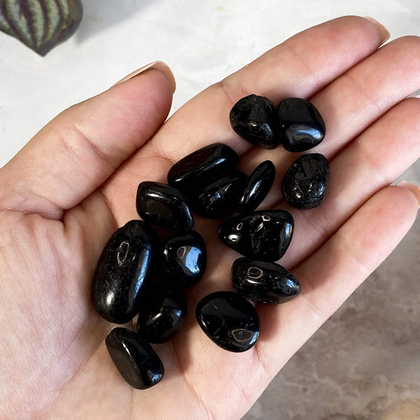 Black Tourmaline Tumbles | 50 gram Lot Mooncat Crystals