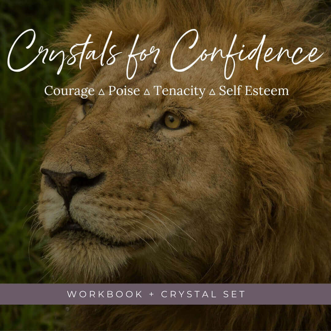 COMPLETE SET: Crystals for Confidence | Course + Crystal Kit Mooncat Crystals