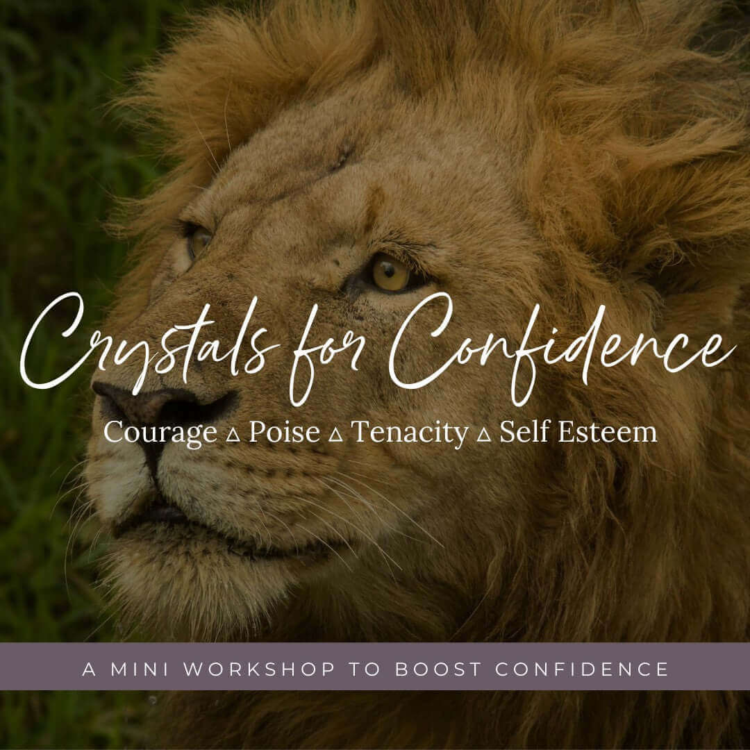 COMPLETE SET: Crystals for Confidence | Course + Crystal Kit Mooncat Crystals