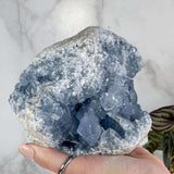 Celestite (Celestine) Display Geode | Stock A Mooncat Crystals