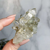 Chlorite-Included Quartz | Stock A Mooncat Crystals
