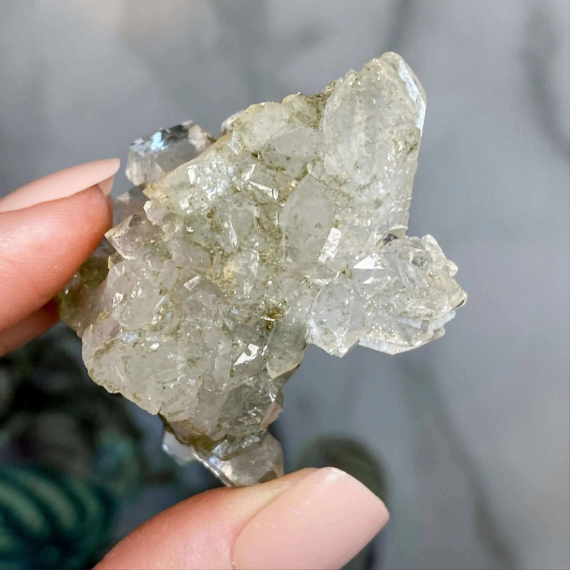 Chlorite-Included Quartz | Stock A Mooncat Crystals