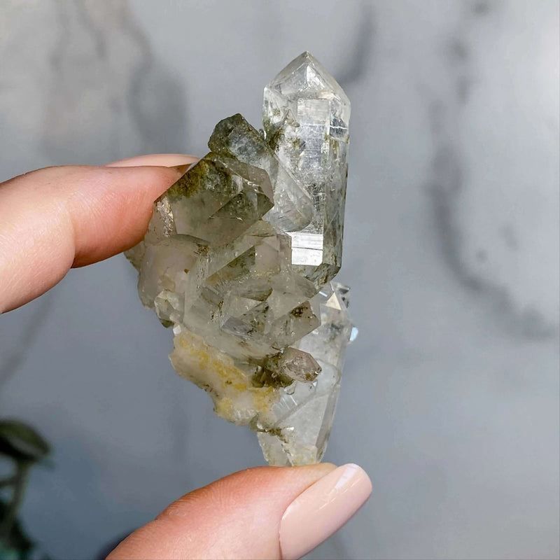 Chlorite-Included Quartz | Stock A Mooncat Crystals