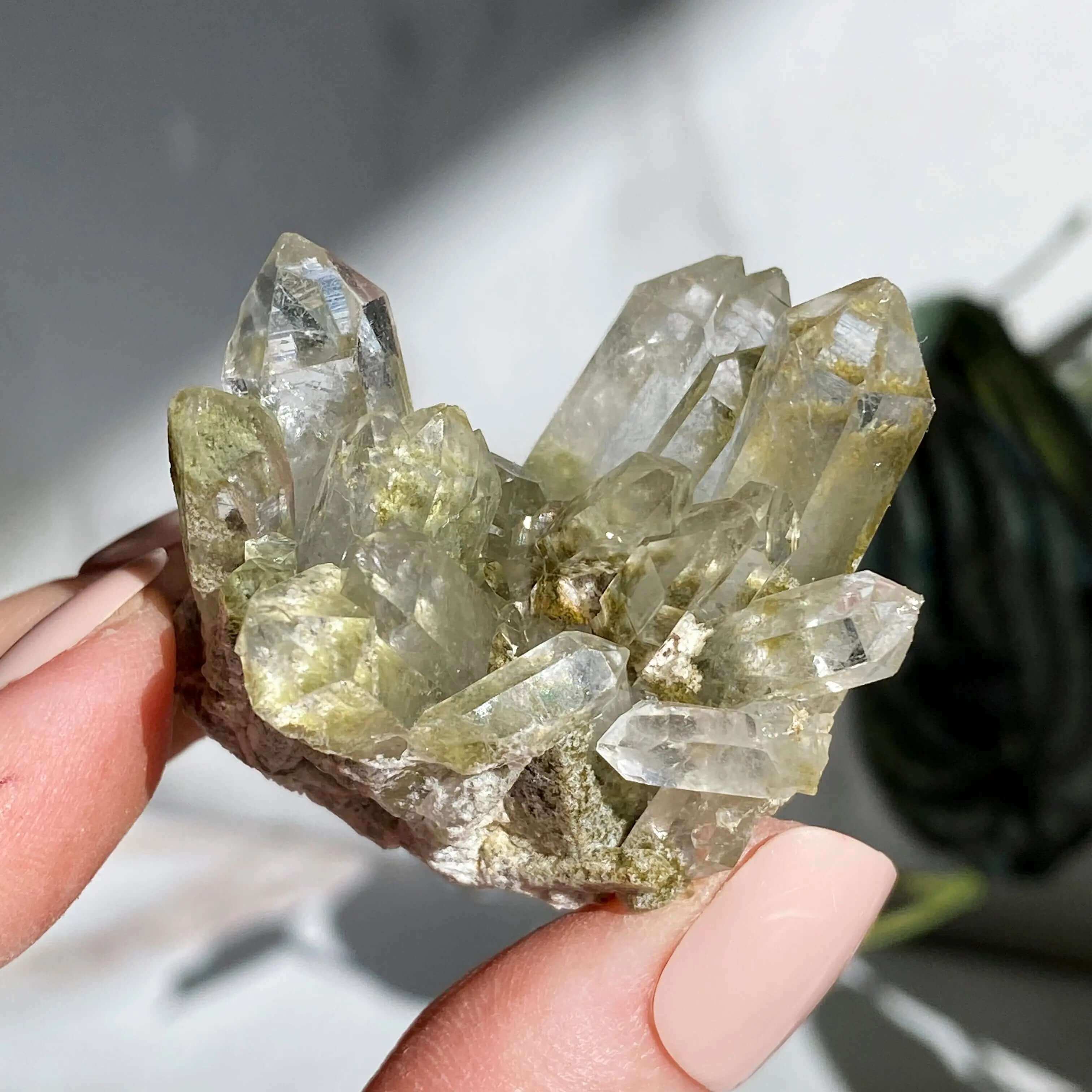 Chlorite-Included Quartz | Stock G Mooncat Crystals