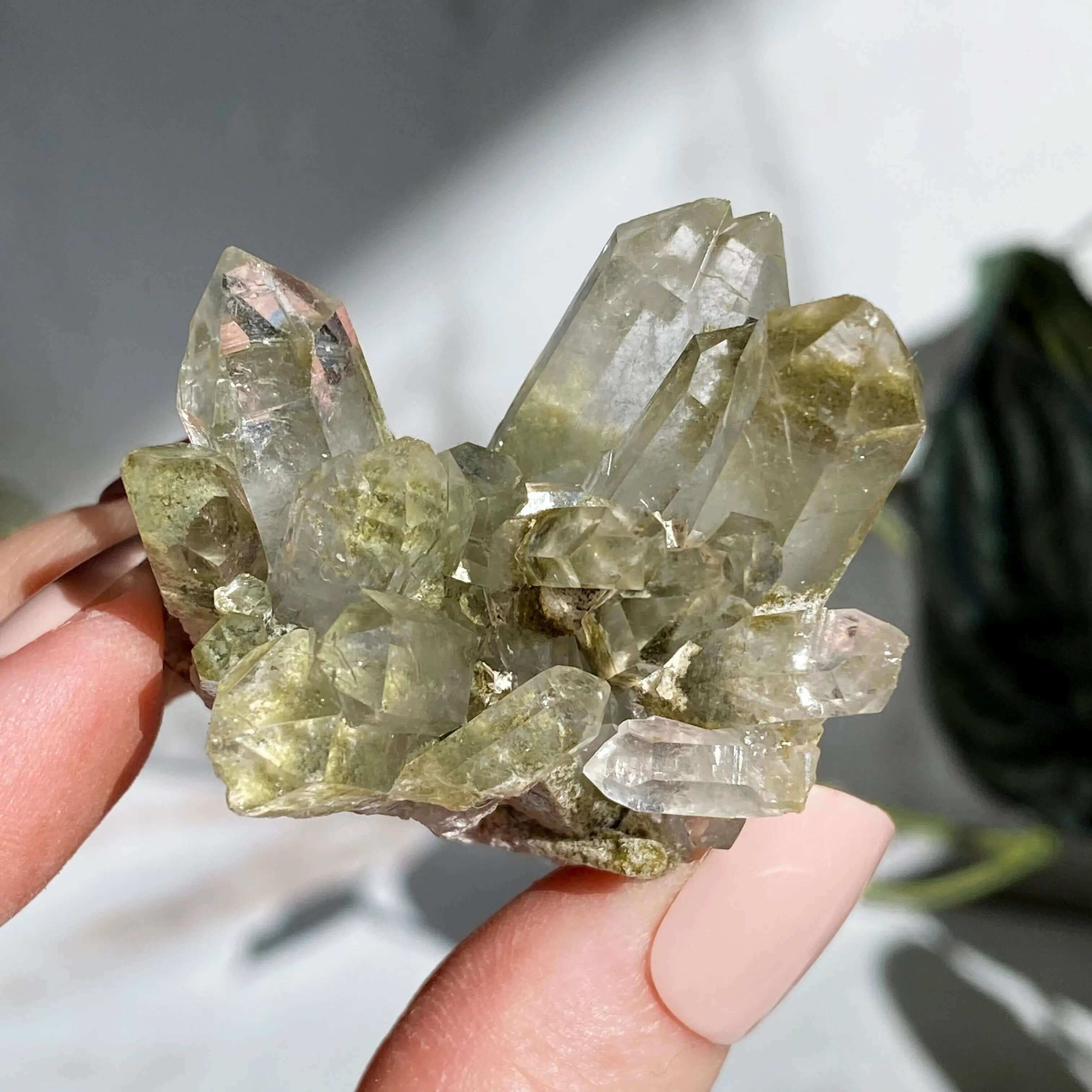 Chlorite-Included Quartz | Stock G Mooncat Crystals