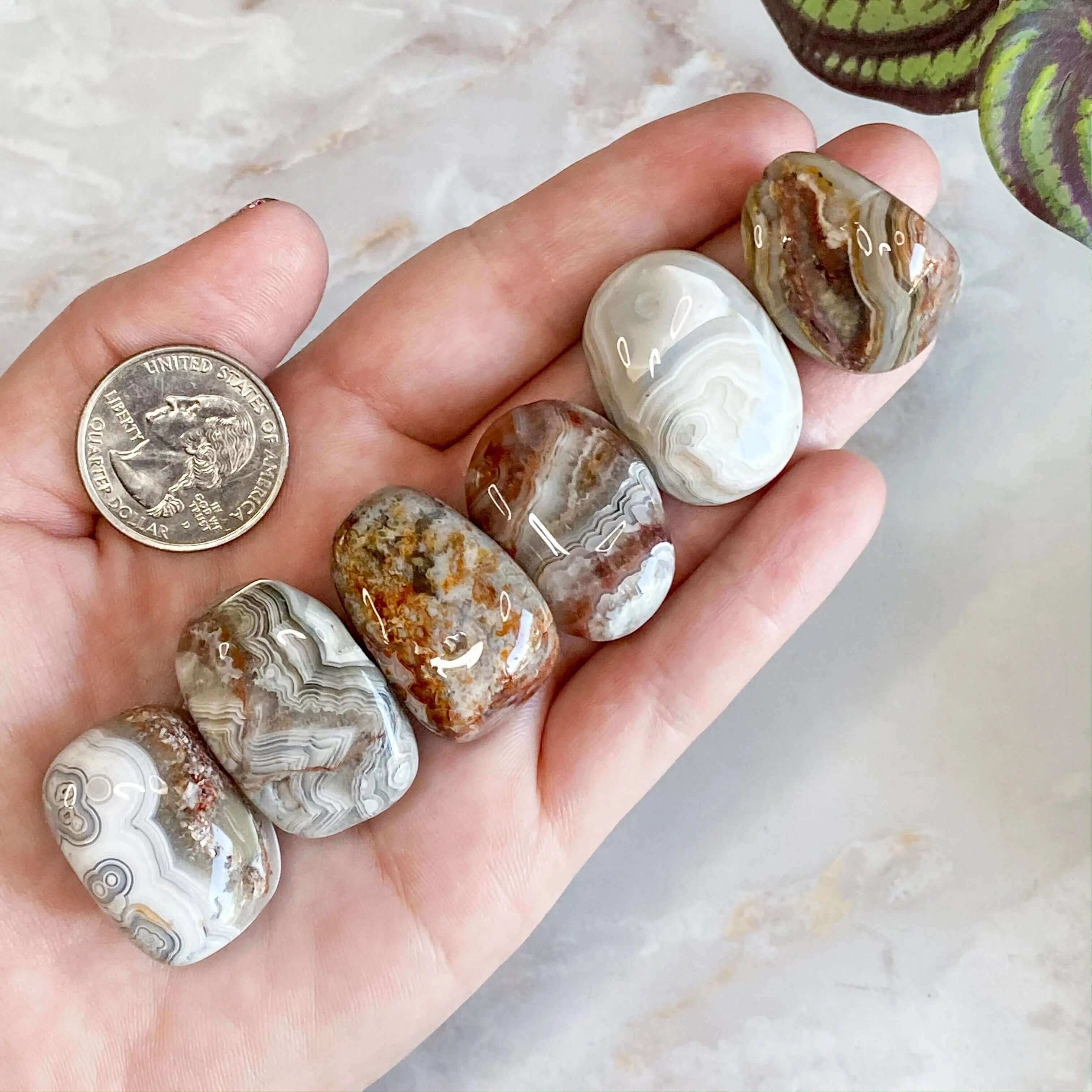 Crazy Lace Agate Tumbles for Joy and Laughter | Set of 2 Mooncat Crystals