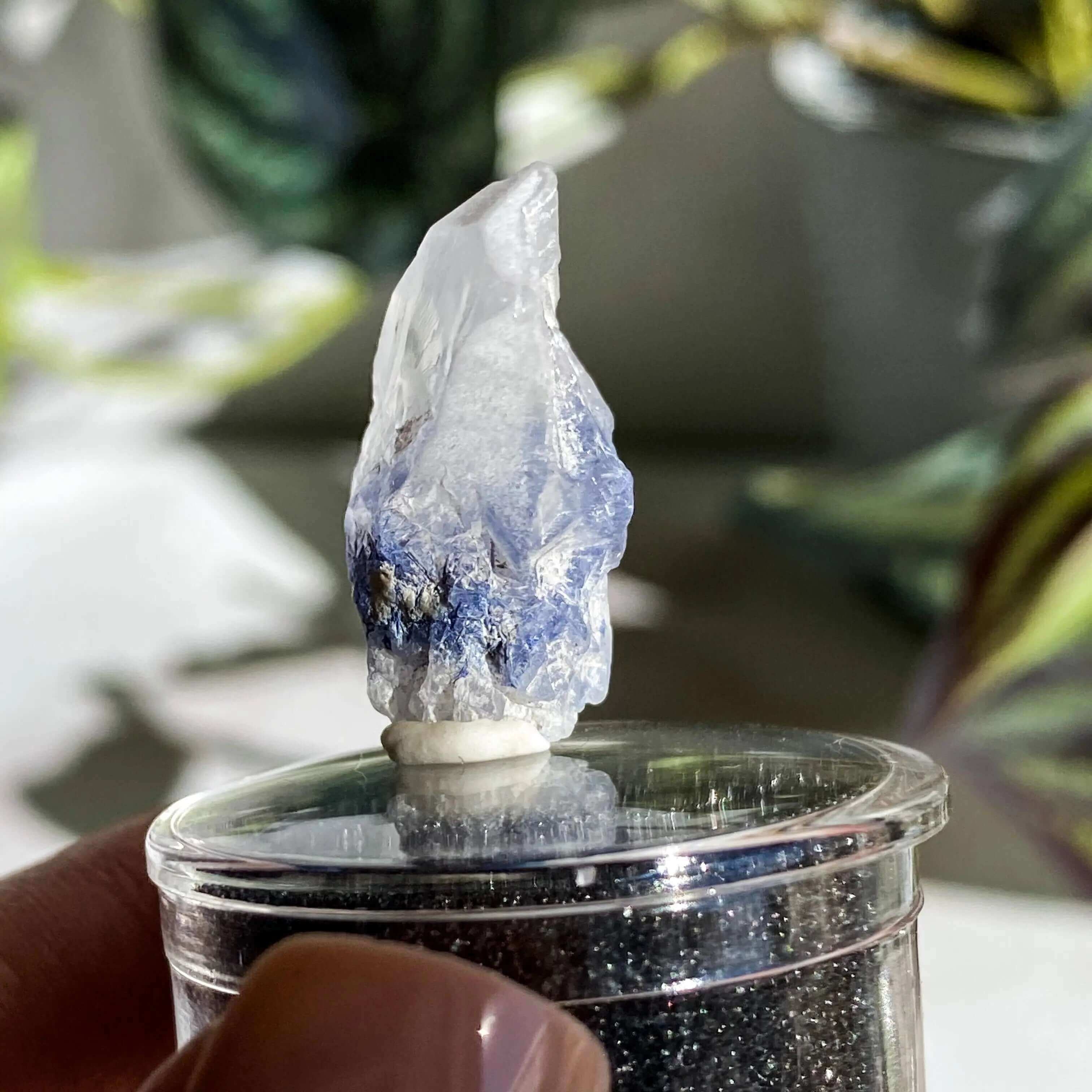 Dumortierite in Quartz for Intellectual and Spiritual Growth | Stock J Mooncat Crystals