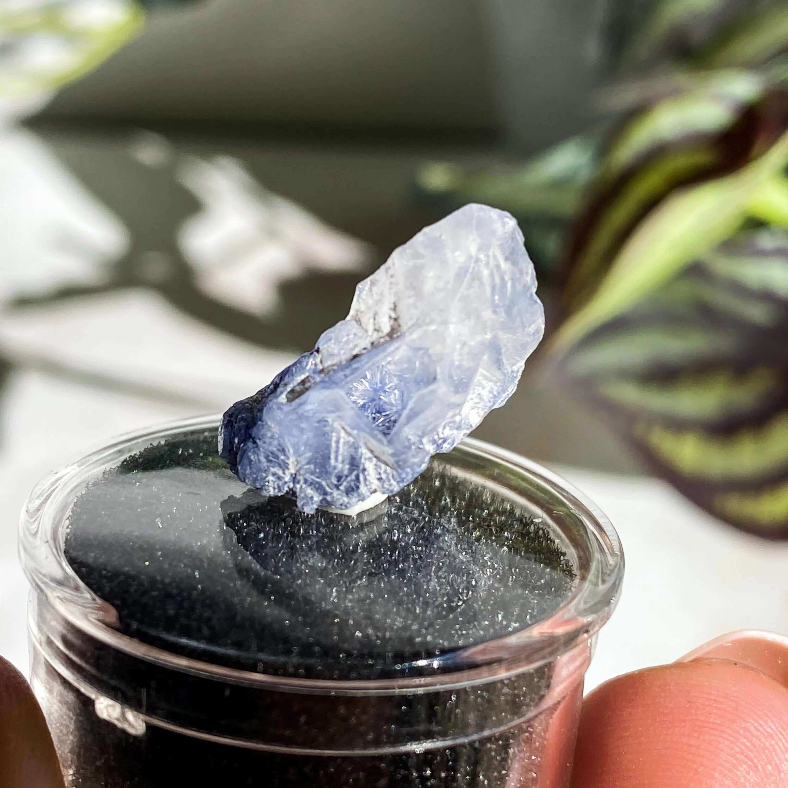 Dumortierite in Quartz for Intellectual and Spiritual Growth | Stock K Mooncat Crystals