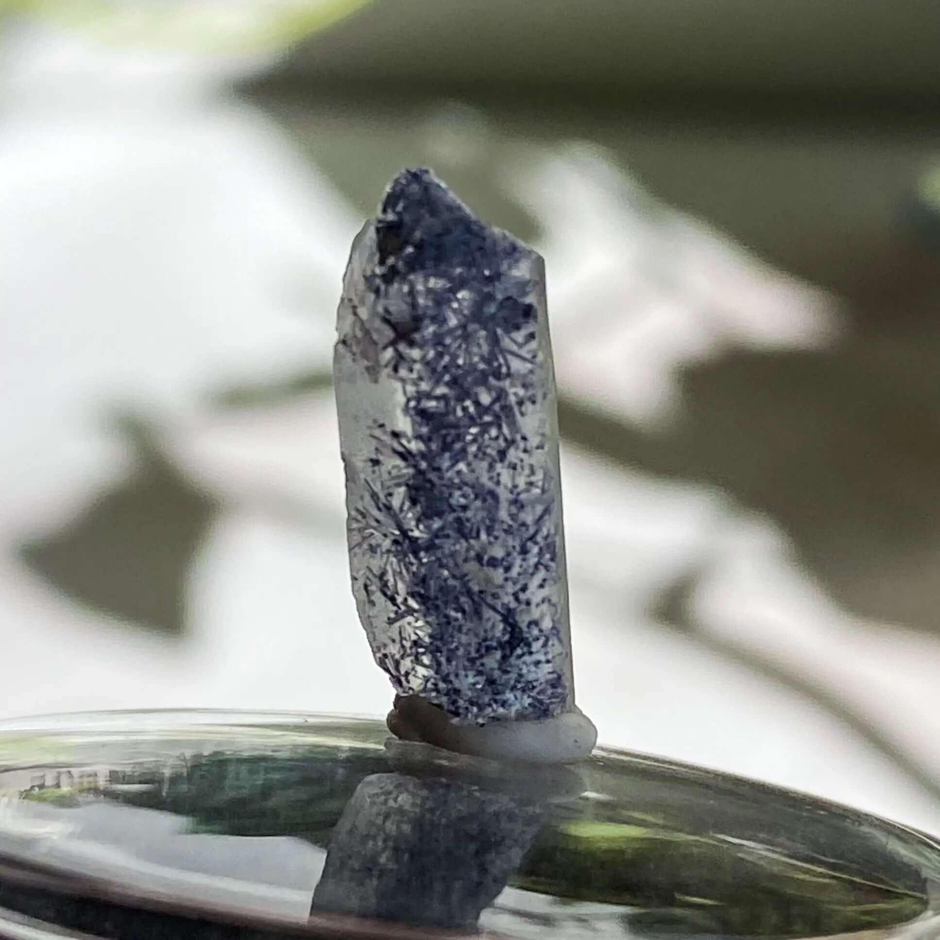 Dumortierite in Quartz for Intellectual and Spiritual Growth | Stock L Mooncat Crystals