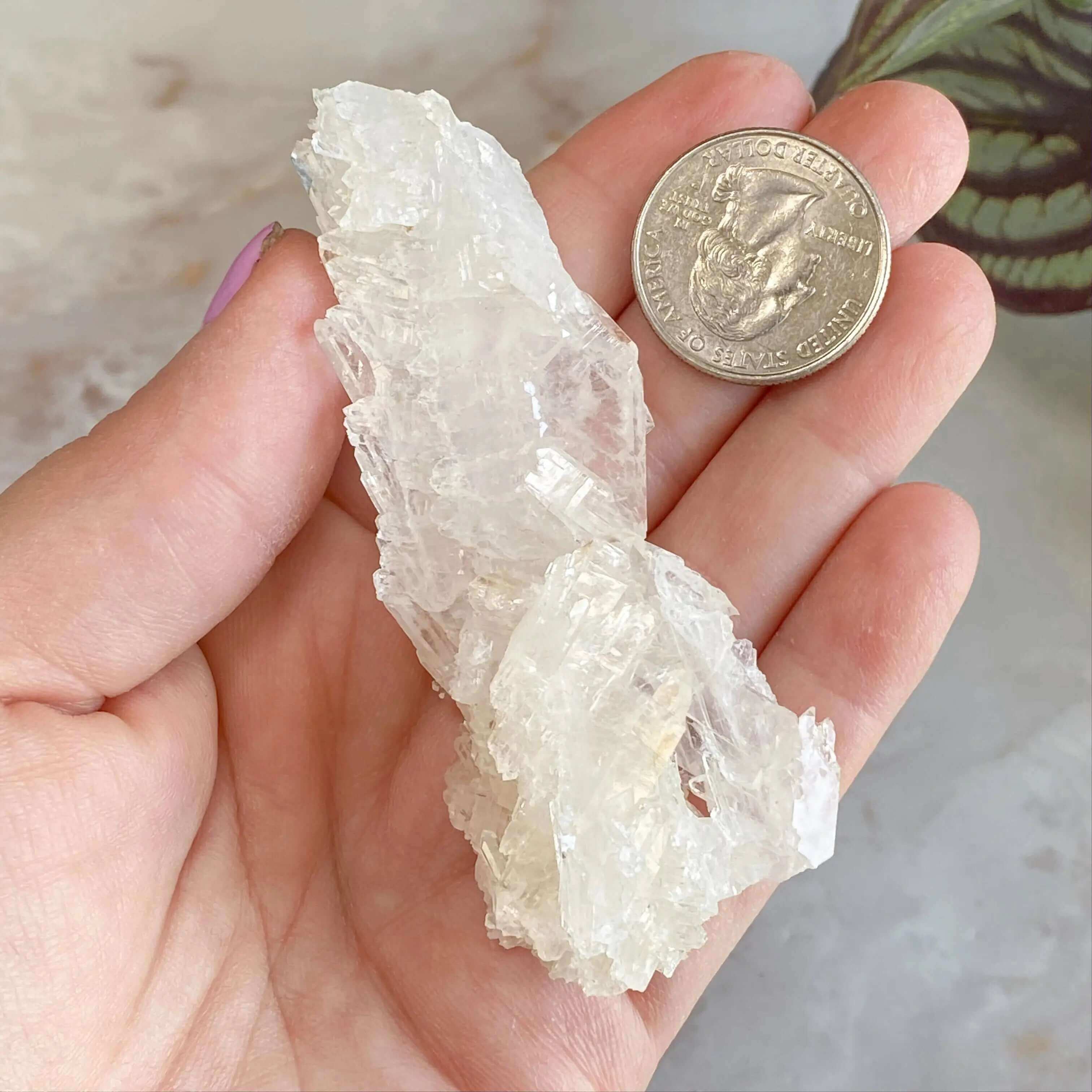 Faden Quartz | Stock A Mooncat Crystals