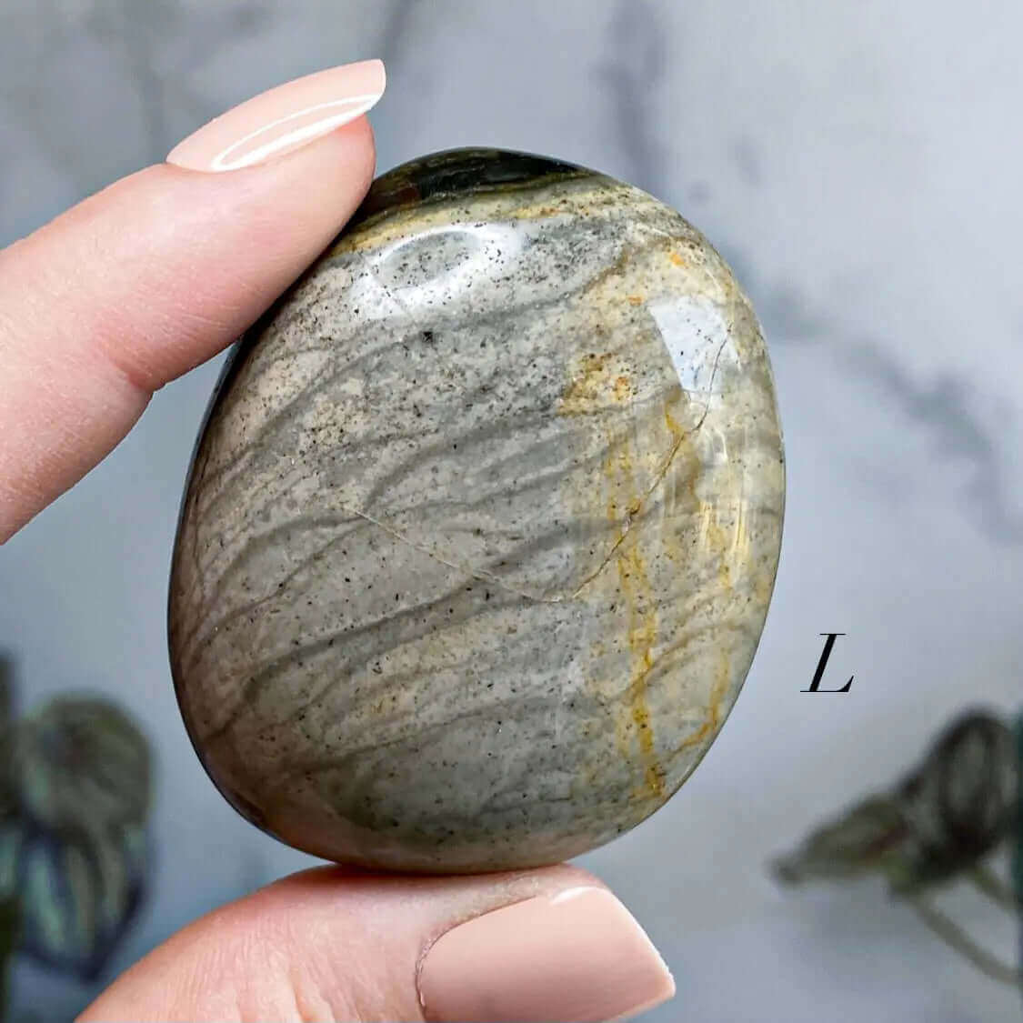 Fossil Jasper Palm Stone | You Choose IJKL Mooncat Crystals