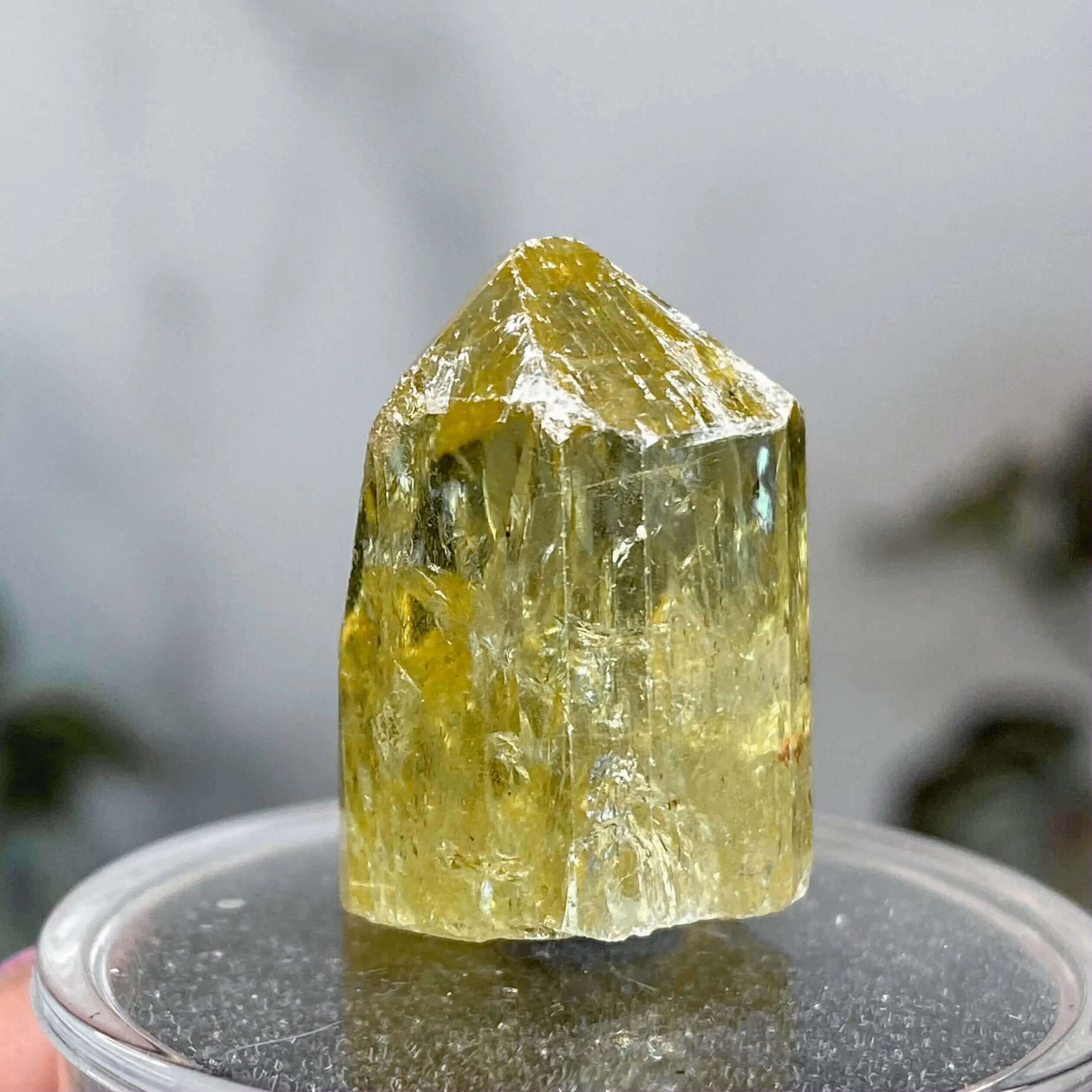 Golden (Yellow) Apatite | Stock F Mooncat Crystals