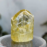Golden (Yellow) Apatite | Stock F Mooncat Crystals