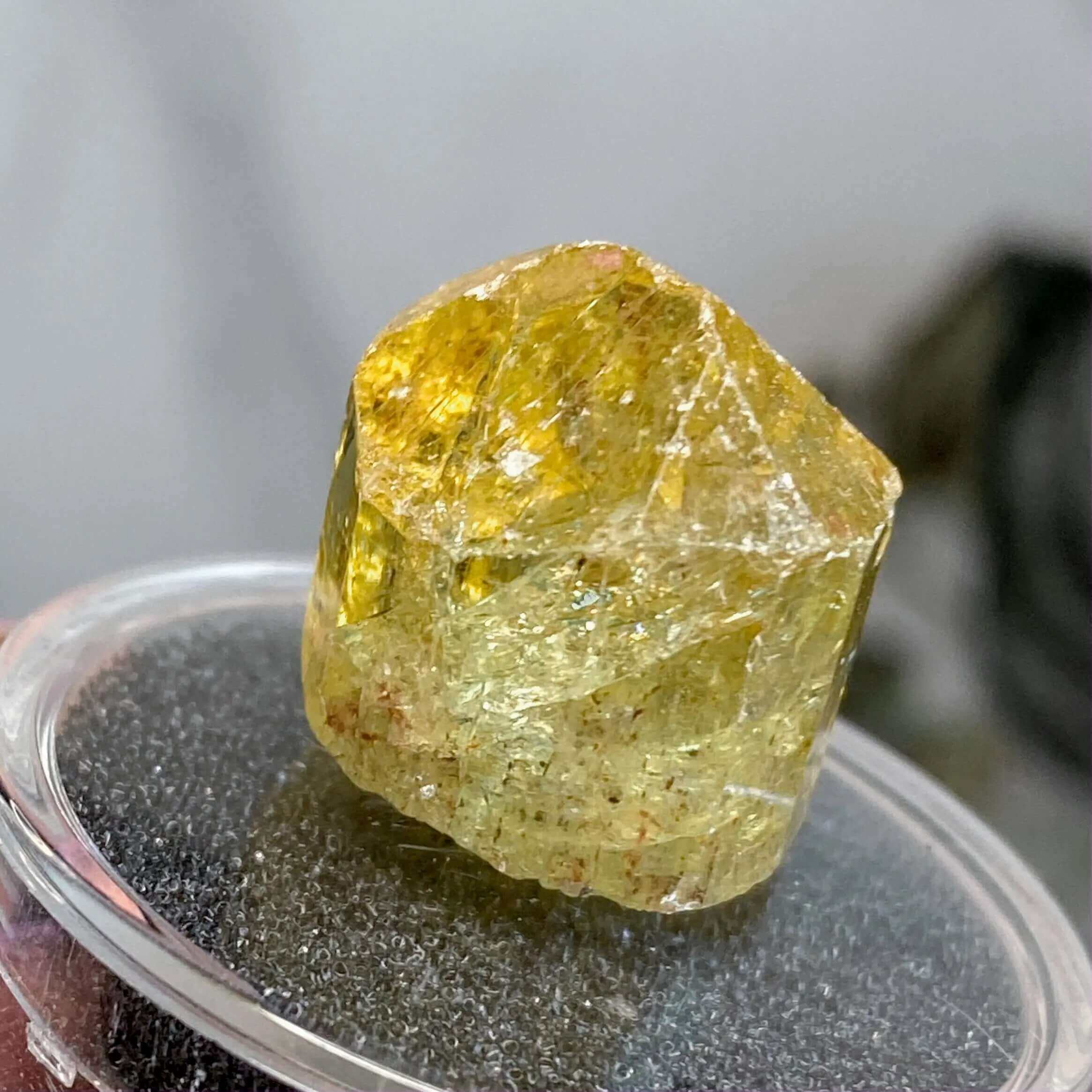 Golden (Yellow) Apatite | Stock I Mooncat Crystals