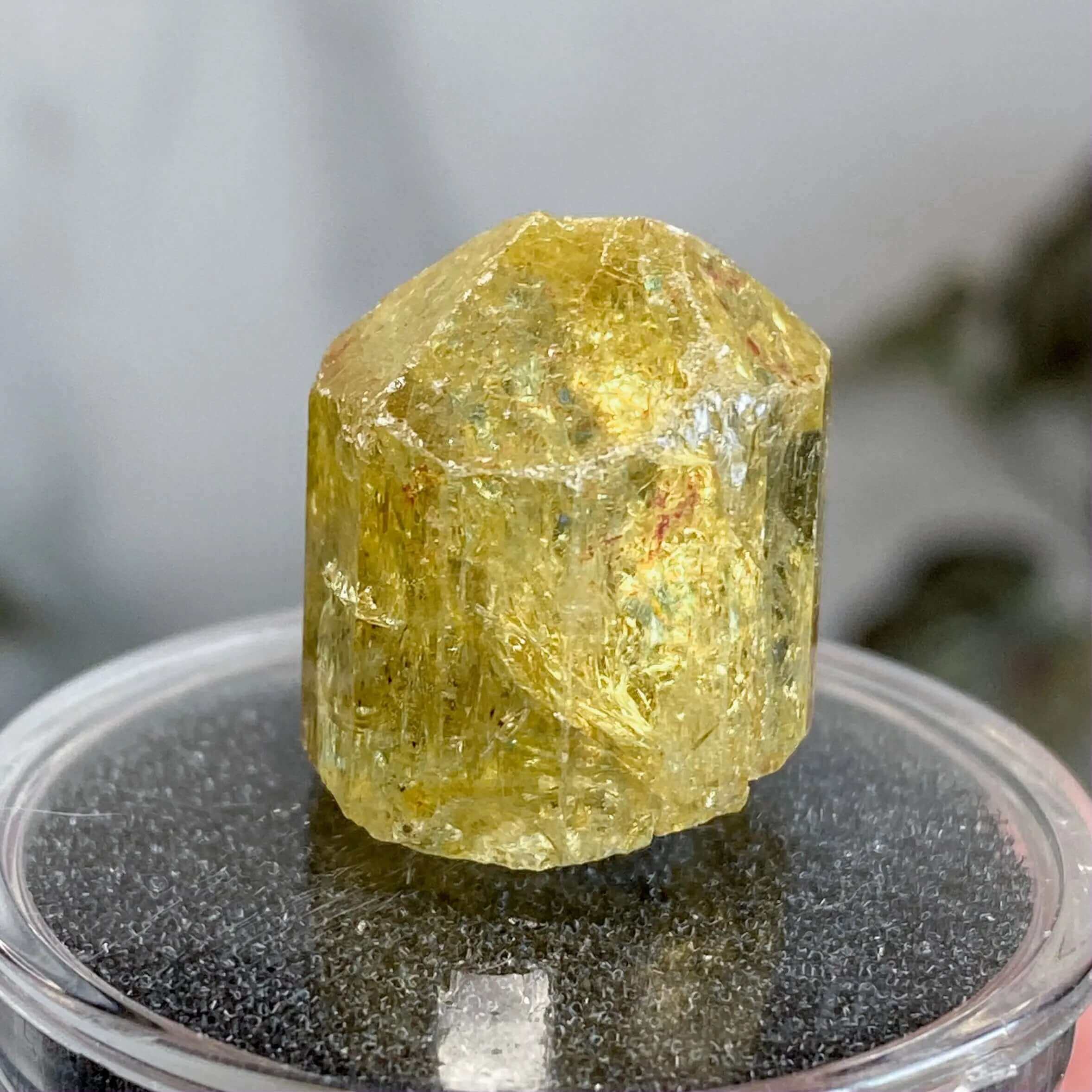 Golden (Yellow) Apatite | Stock I Mooncat Crystals