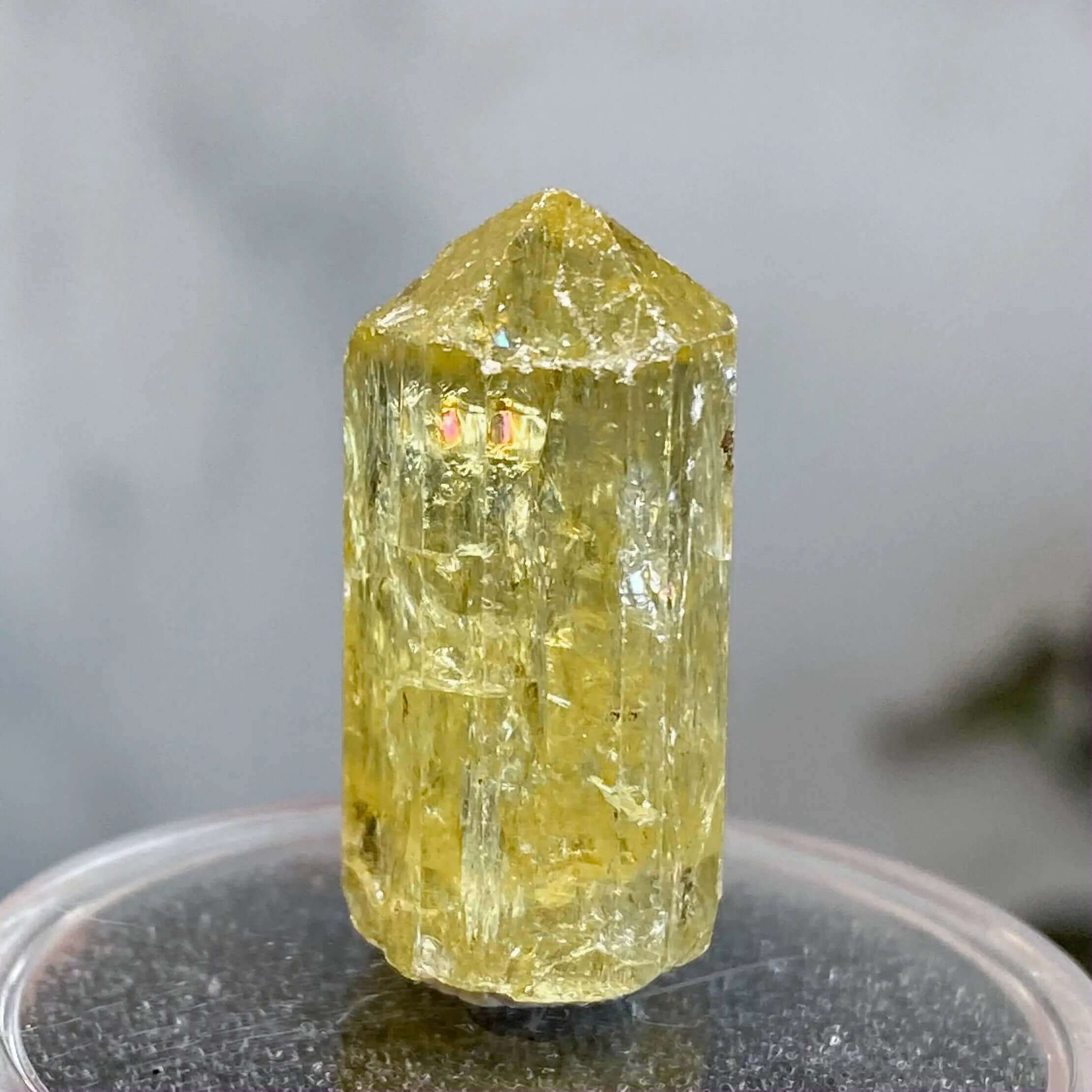 Golden (Yellow) Apatite | Stock J Mooncat Crystals