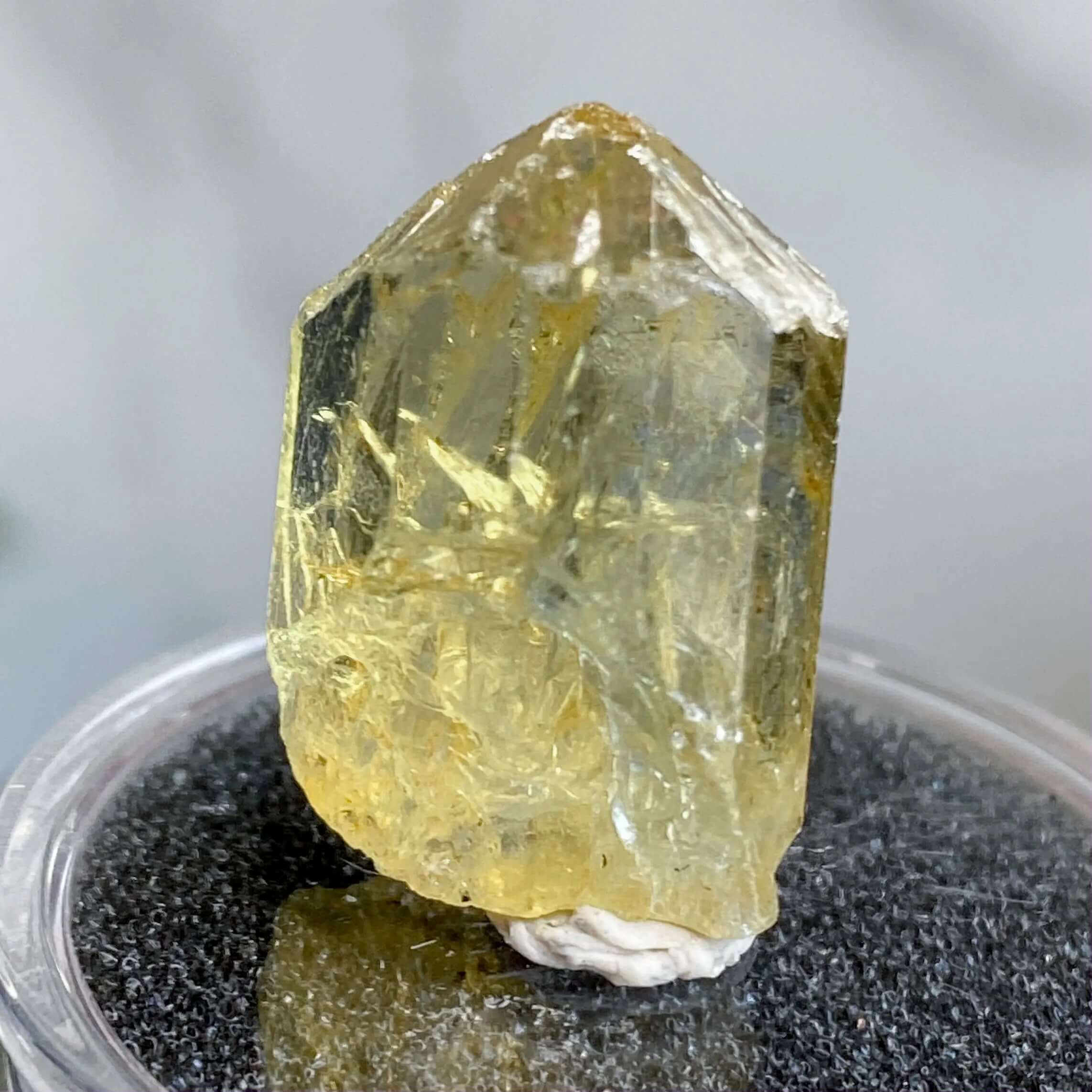 Golden (Yellow) Apatite | Stock L Mooncat Crystals