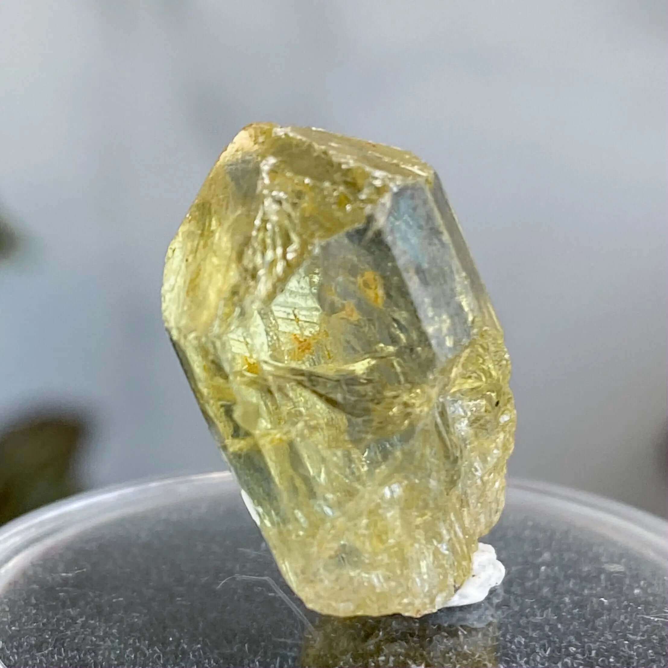 Golden (Yellow) Apatite | Stock L Mooncat Crystals