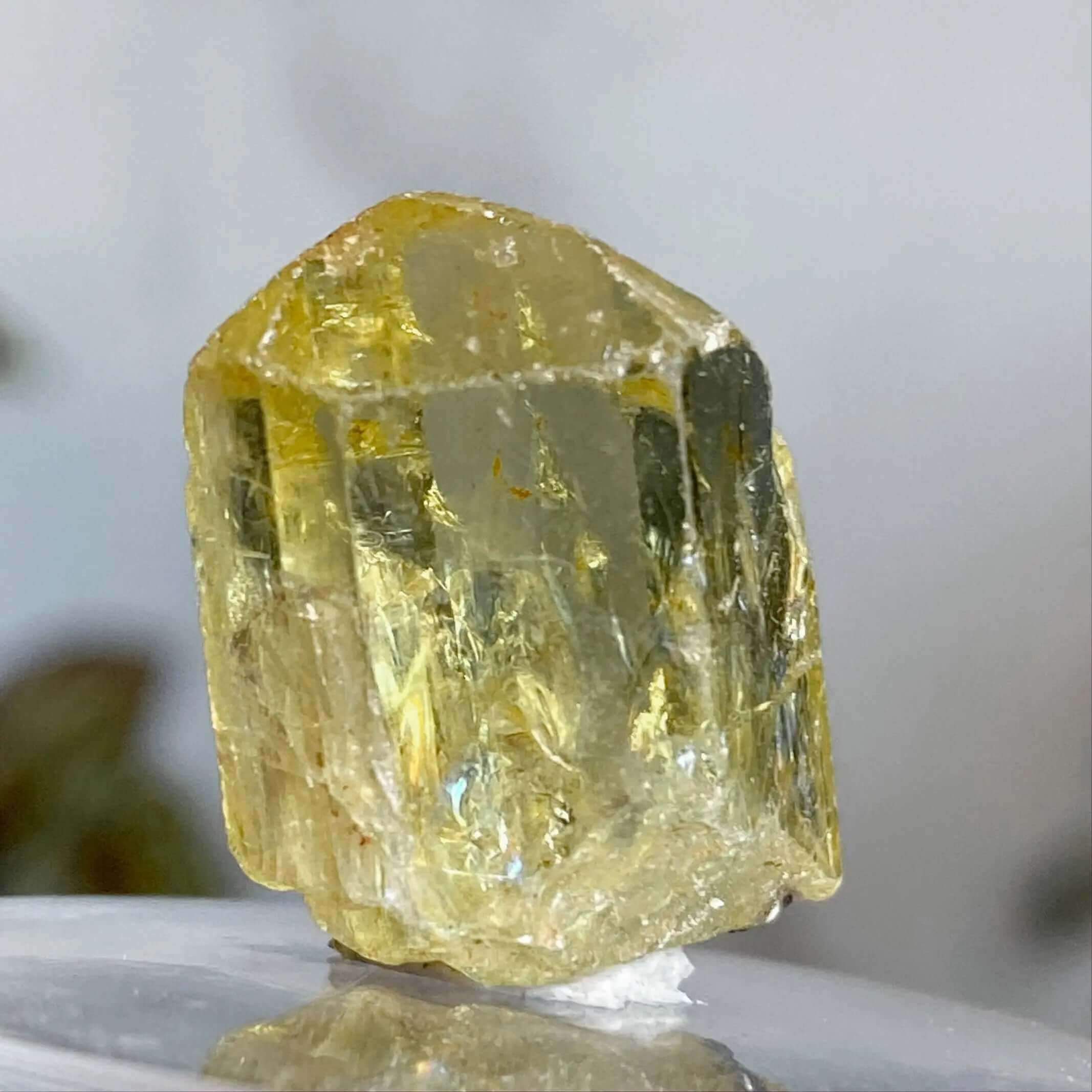 Golden (Yellow) Apatite | Stock M Mooncat Crystals