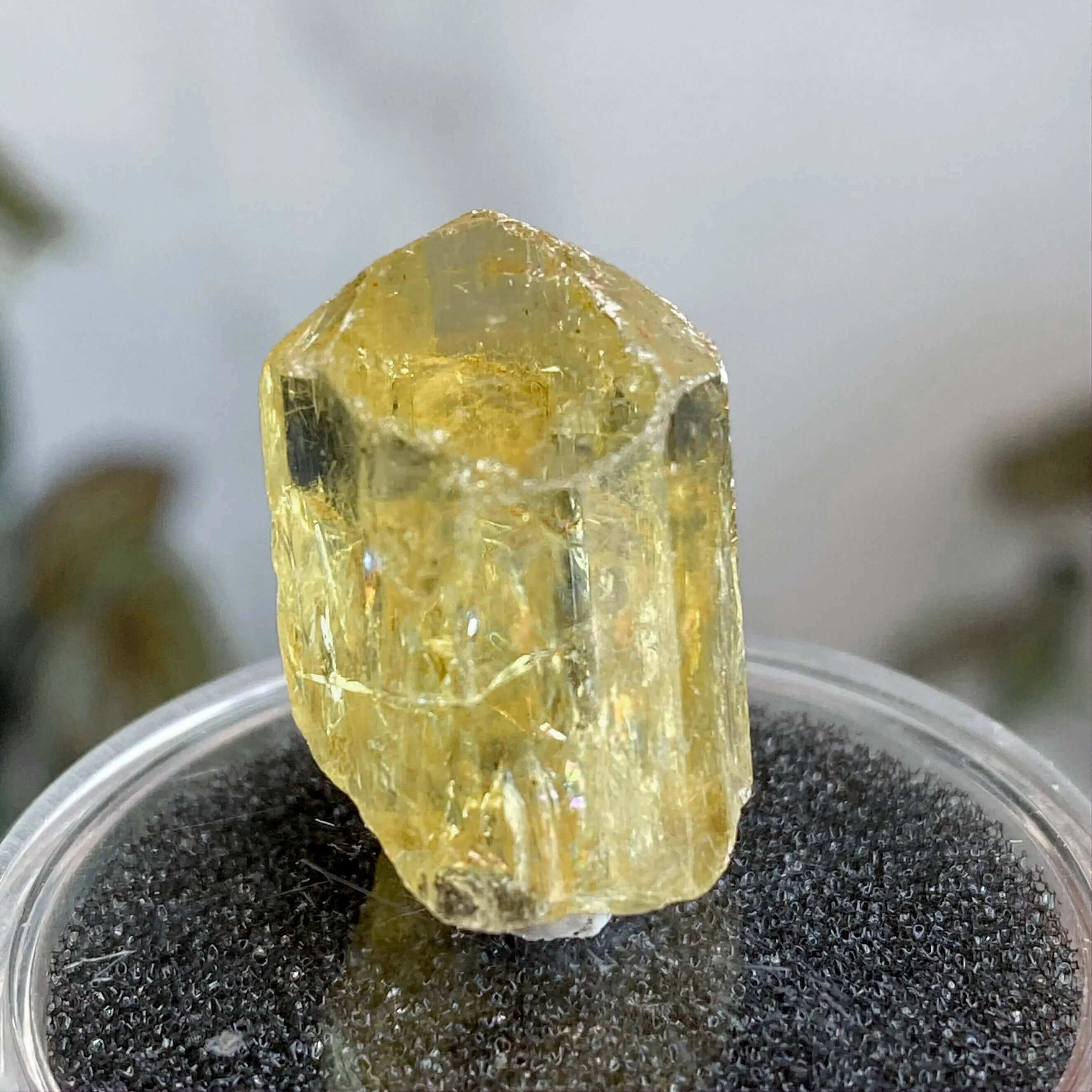 Golden (Yellow) Apatite | Stock M Mooncat Crystals