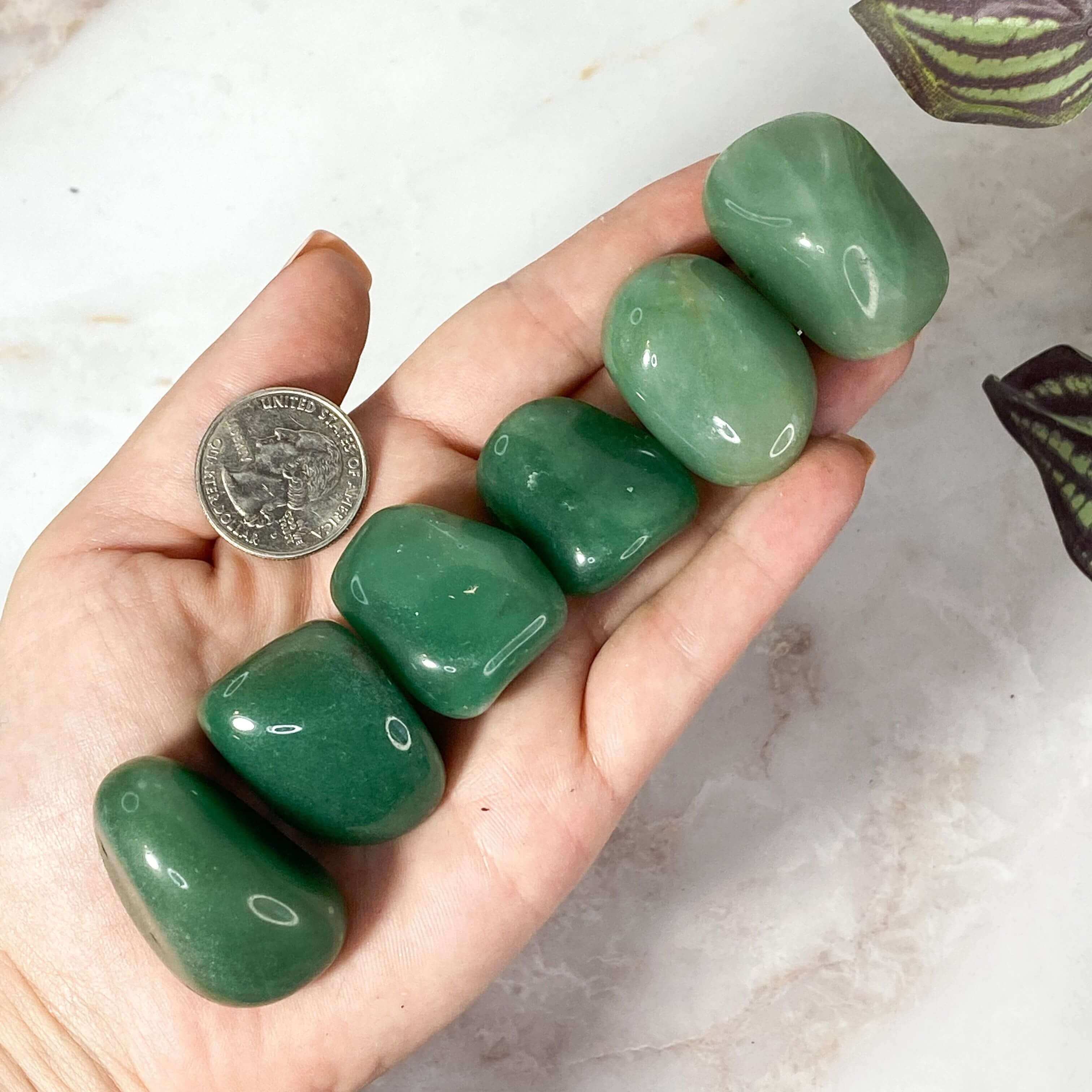 Green Aventurine Tumbles (Large) | Set of 2 Mooncat Crystals