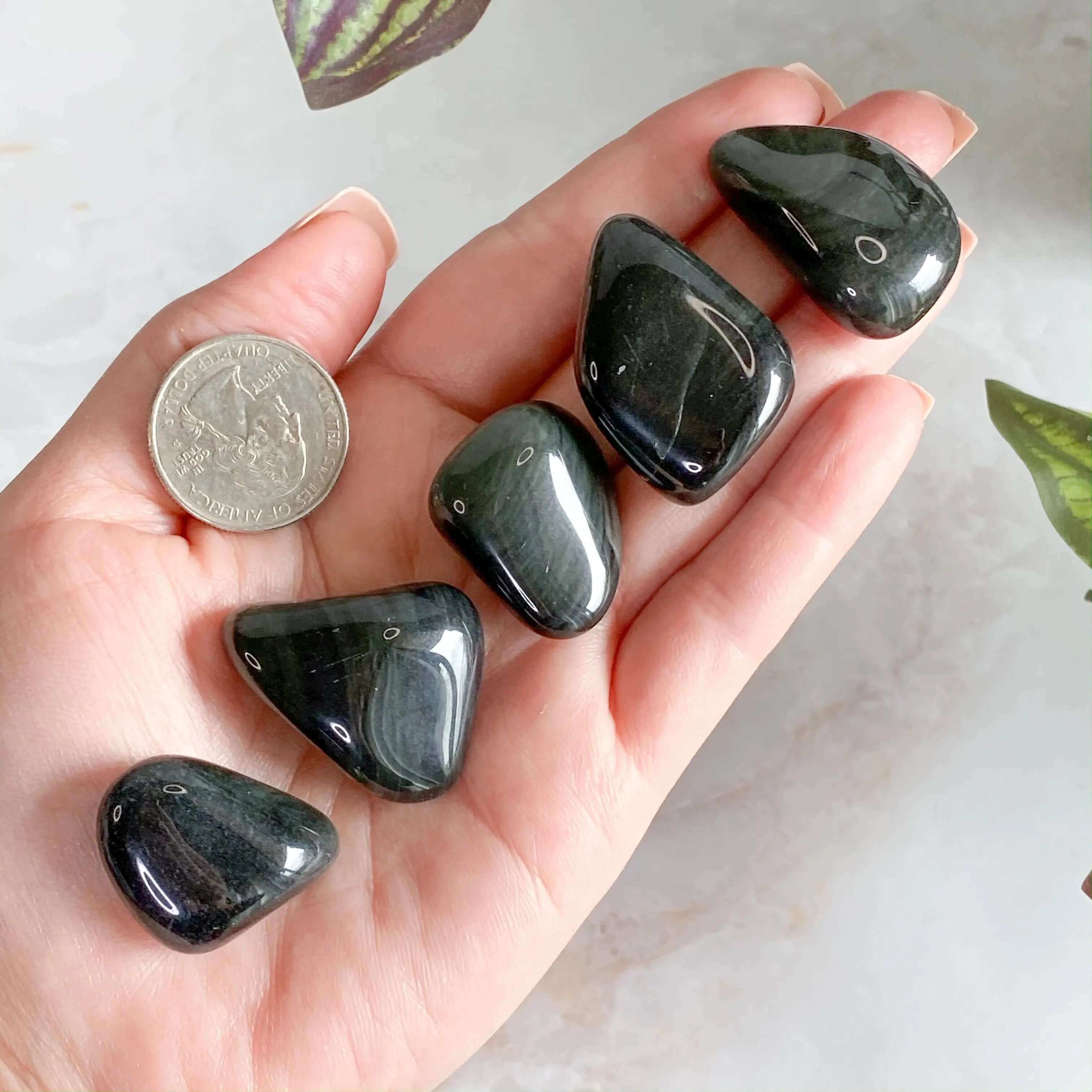 Hand-Selected Velvet Sheen Obsidian Tumbles | 1 Piece Mooncat Crystals