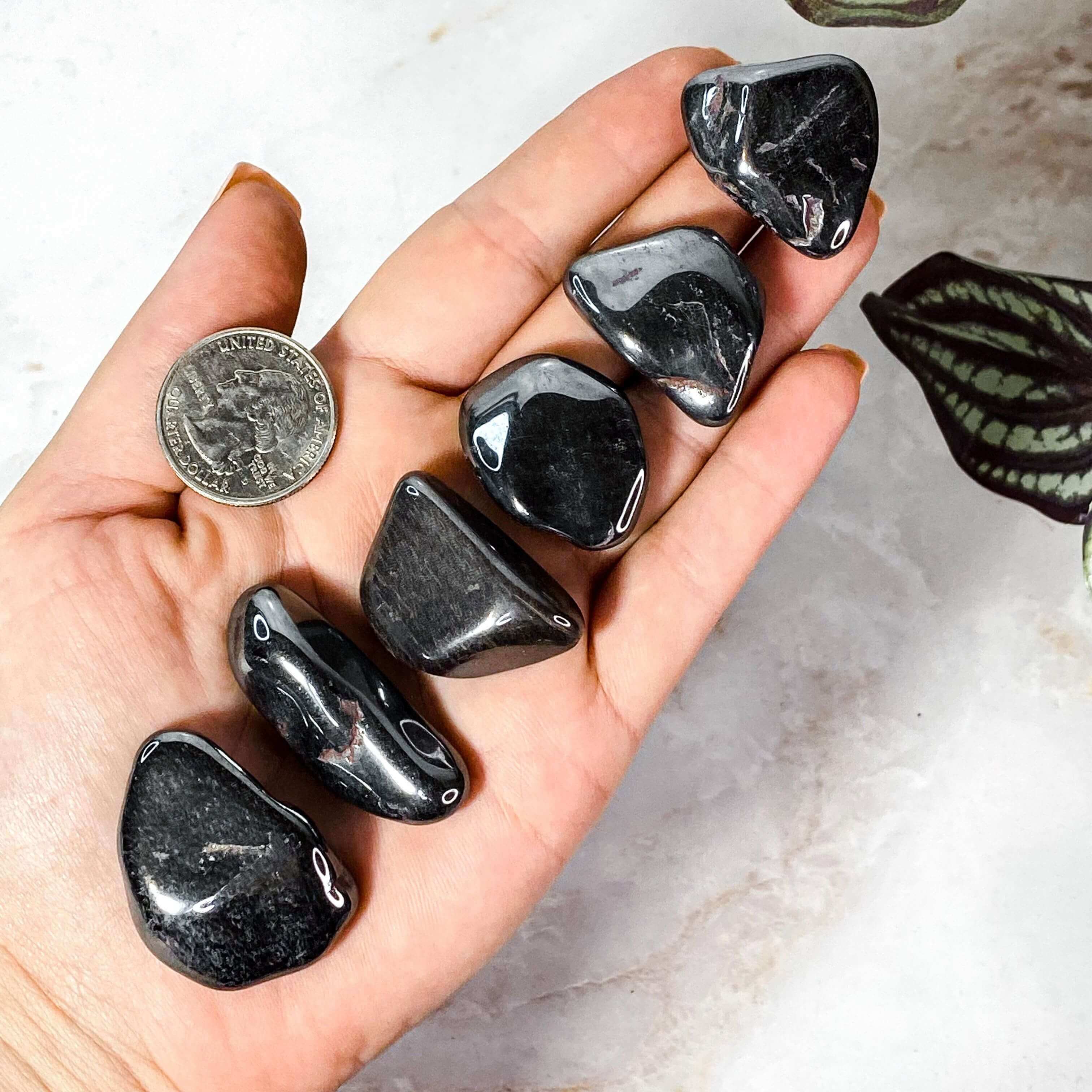 Hematite Tumbles for Grounding and Protection | Set of 2 Mooncat Crystals