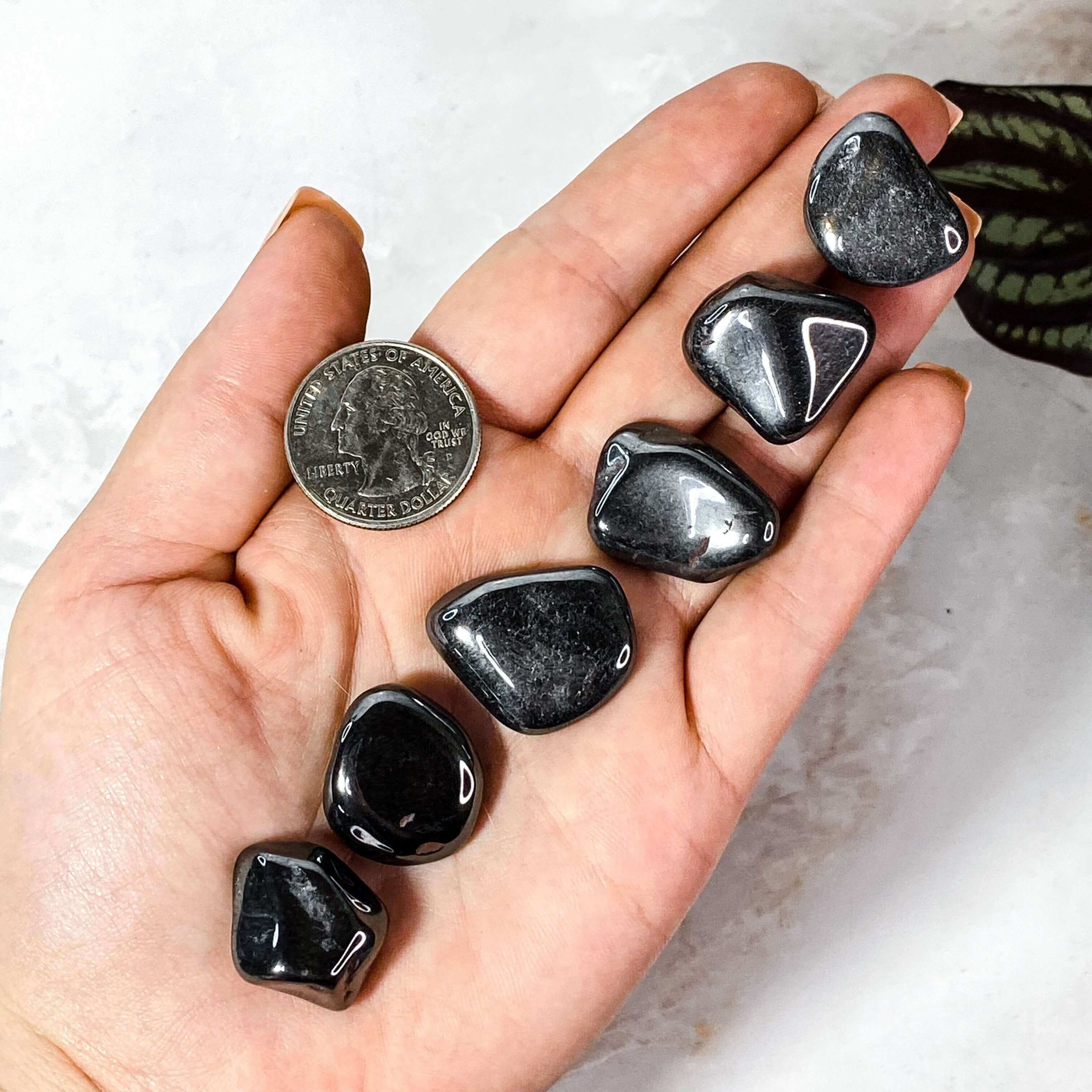 Hematite Tumbles for Grounding and Protection | Set of 2 Mooncat Crystals